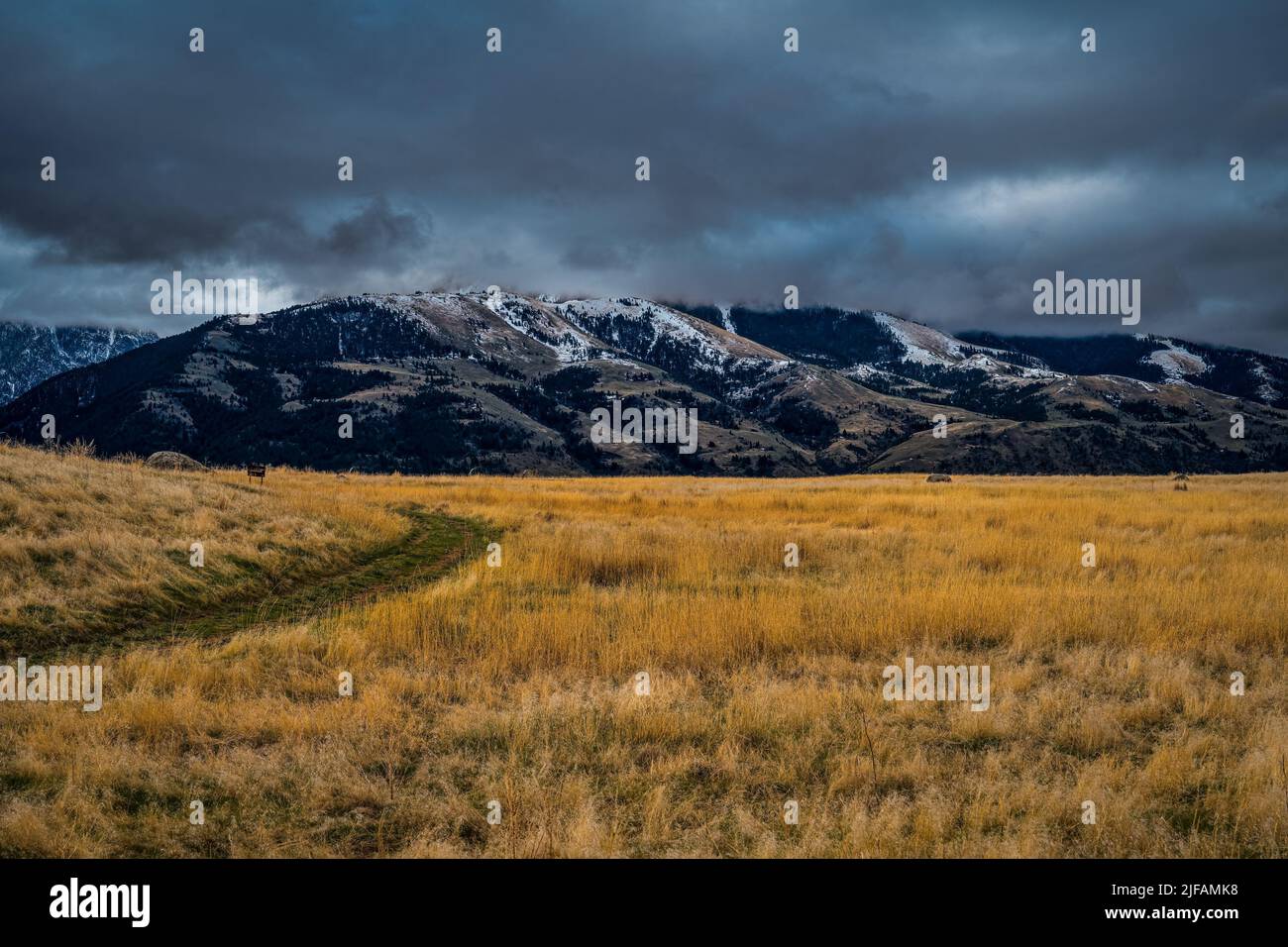 LIGHT COLORED GRASS FIELDS WITH A SNOW COVERED MOUNTAIN RANGE AND A CLOUDY SKY IN PRAY MONTANA Stock Photo