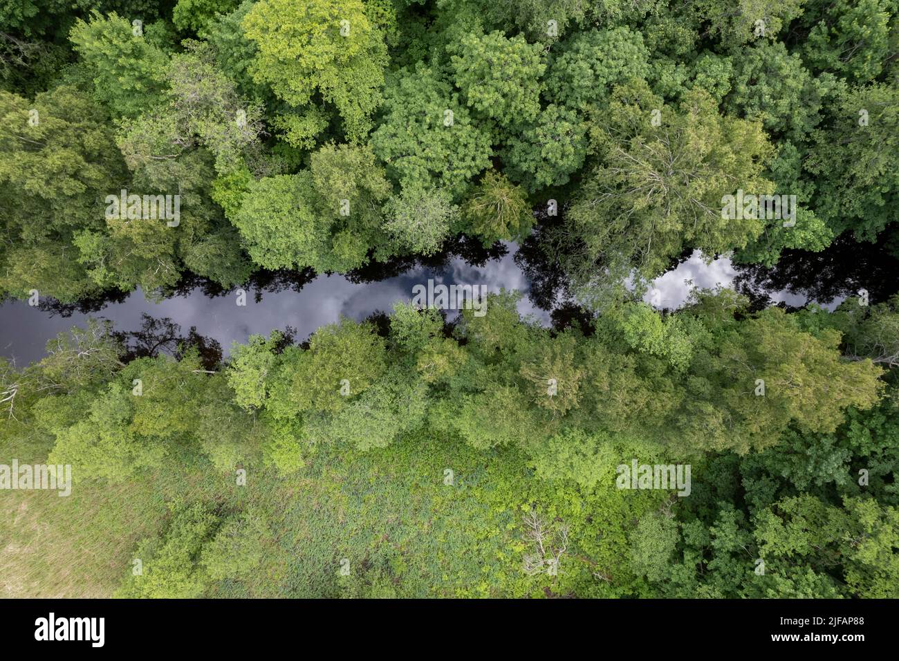 Natural river forest hi-res stock photography and images - Alamy