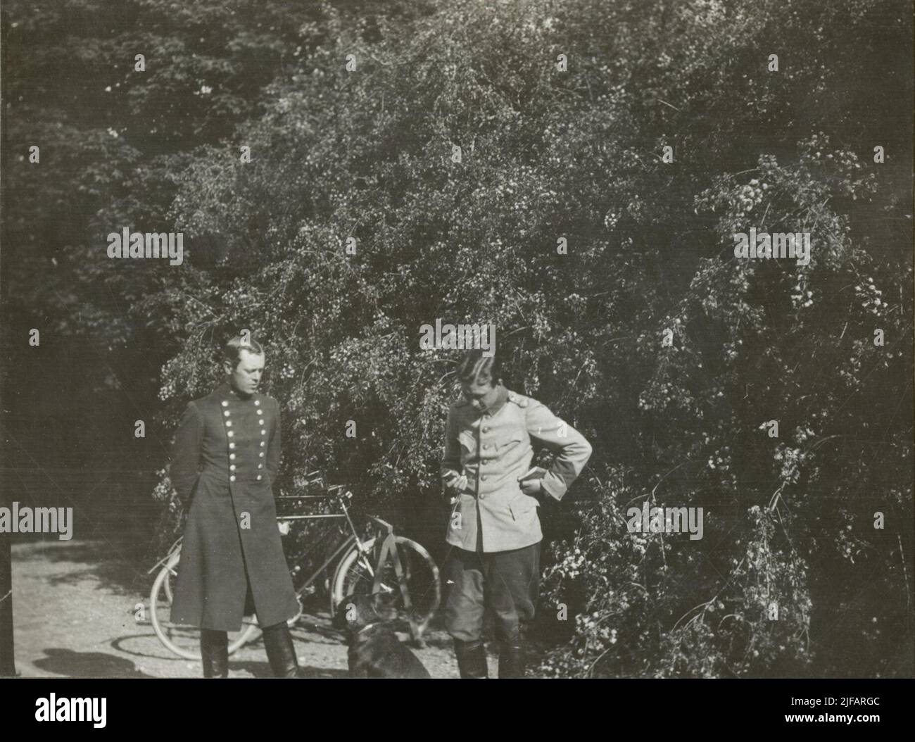 Text in photo album ommen 1923 palma abelin stock photo alamy
