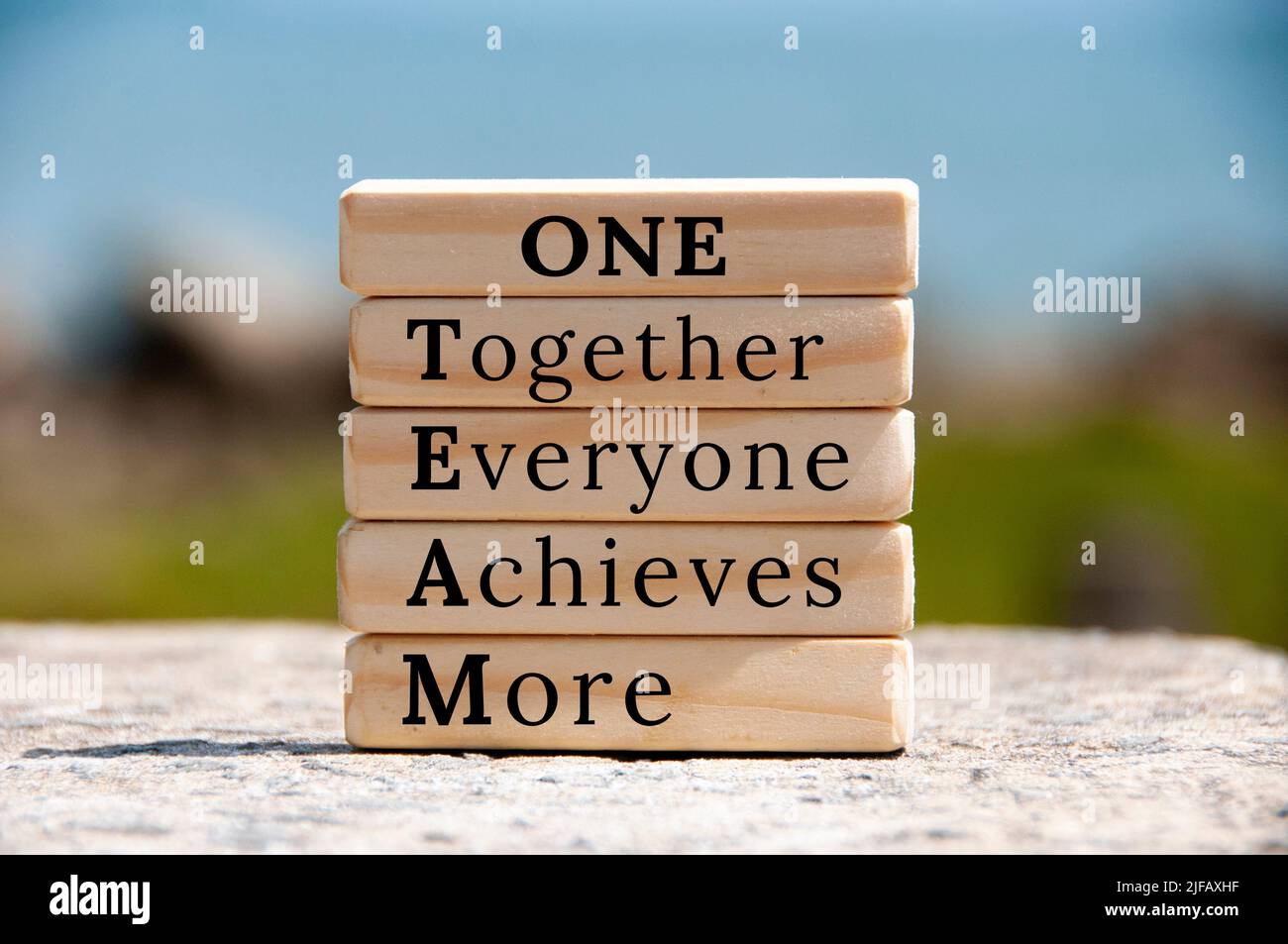 One Team text on wooden blocks with blurred nature background. Team