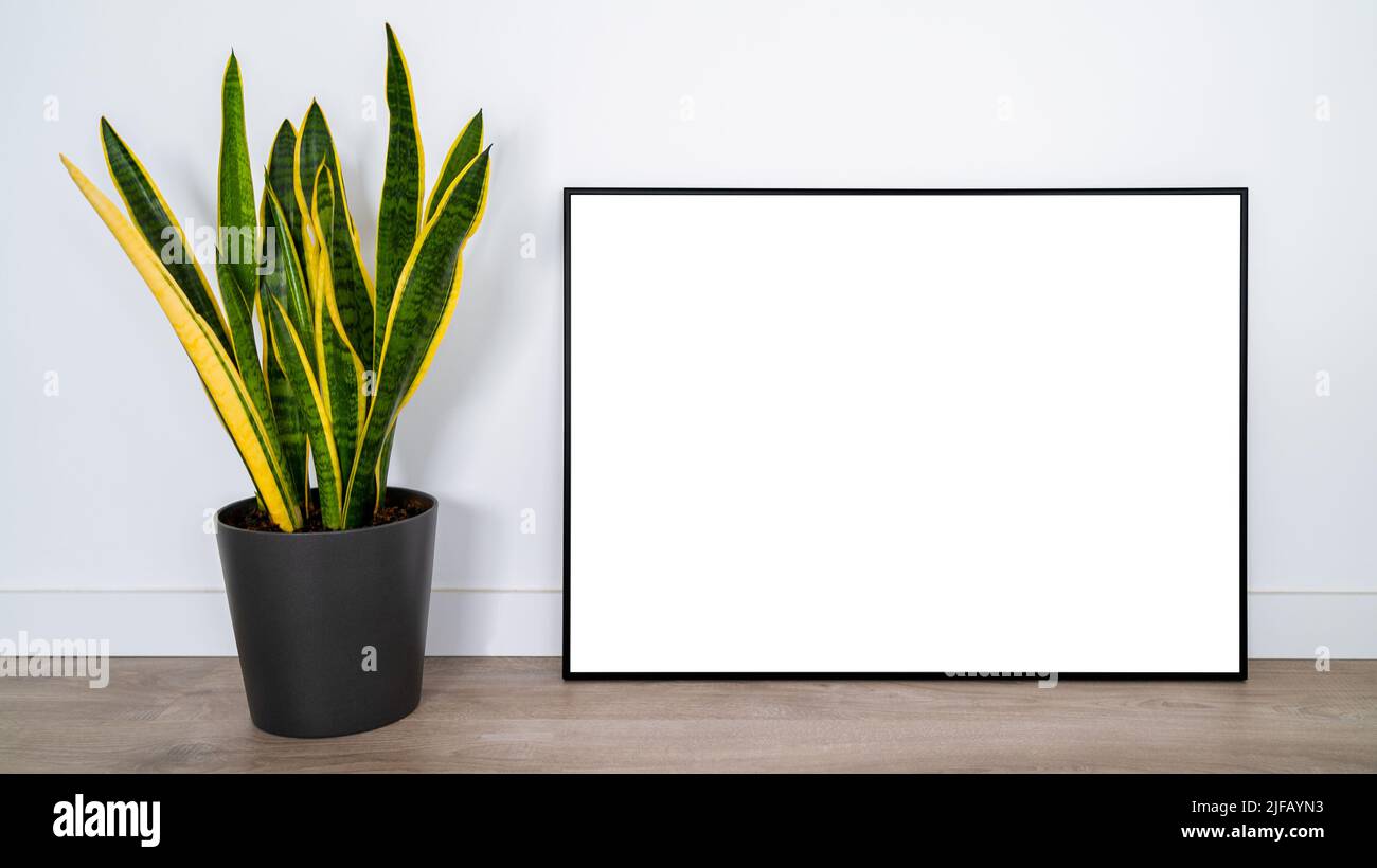 White poster on wood floor with black frame and plant mockup for you ...