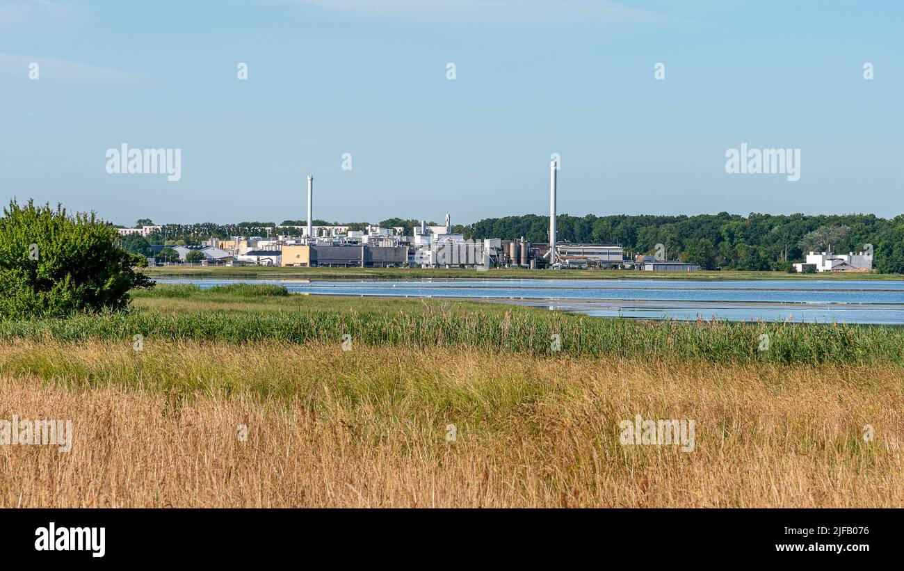 Haldor Topsoe catalyzer factory in peaceful surroundings at Roskilde firth, Frederikssund, June 30, 2022 Stock Photo