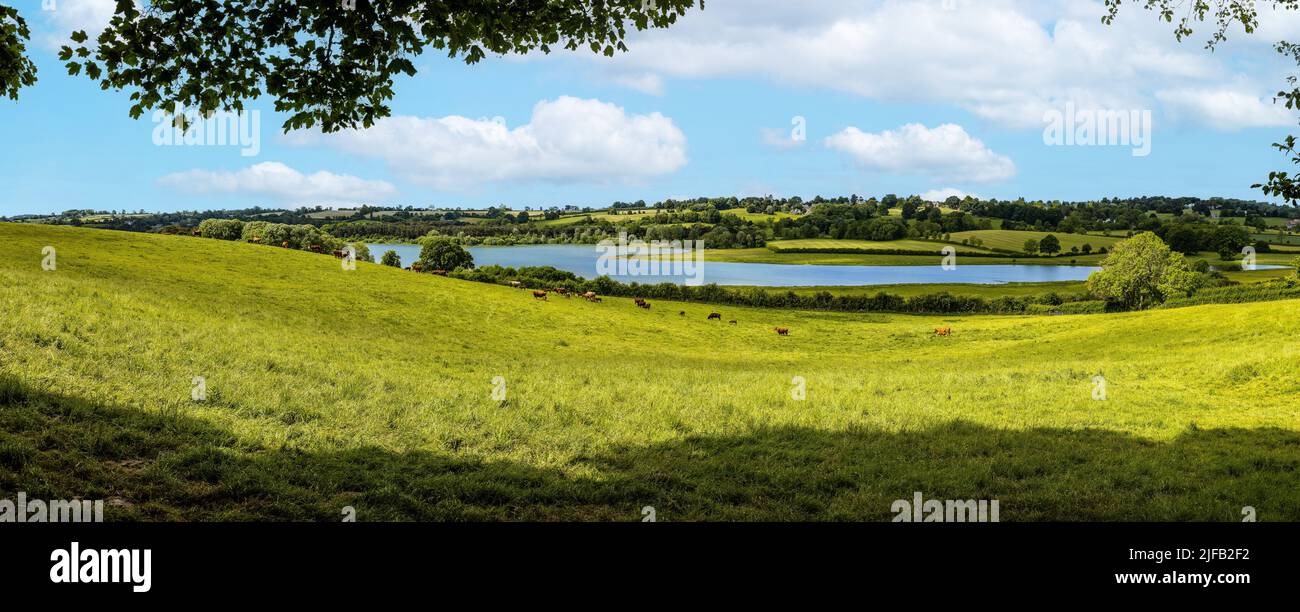 Panoramic view of Ravensthorpe Reservoir Northamptonshire England Stock Photo