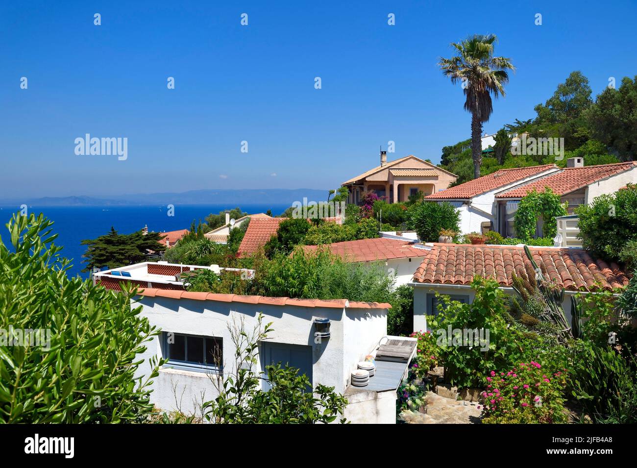 Порнодағы ракетка Порно әнші Аврил Лавин