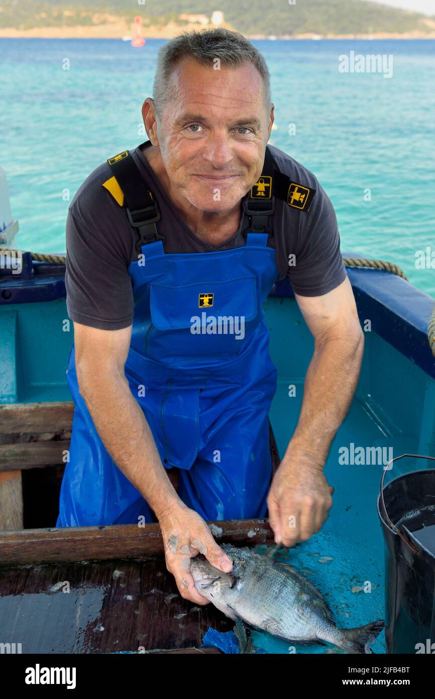 France, Var, Iles d'Hyeres, Parc national de Port Cros (National park of Port Cros), Le Levant island, Heliopolis naturist city, Christophe and Brigitte Chevallier, the only professional fishermen in Heliopolis, offer their fishing on their return to port, cleaning fish Stock Photo