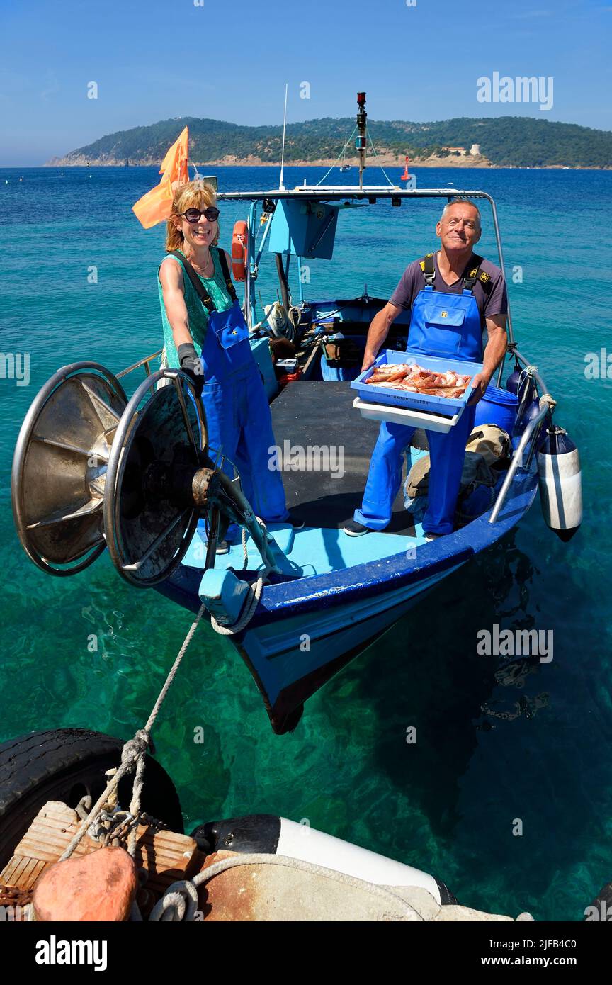 France, Var, Iles d'Hyeres, Parc national de Port Cros (National park of Port Cros), Le Levant island, Heliopolis naturist city, Christophe and Brigitte Chevallier, the only professional fishermen in Heliopolis, offer their fishing on their return to port Stock Photo