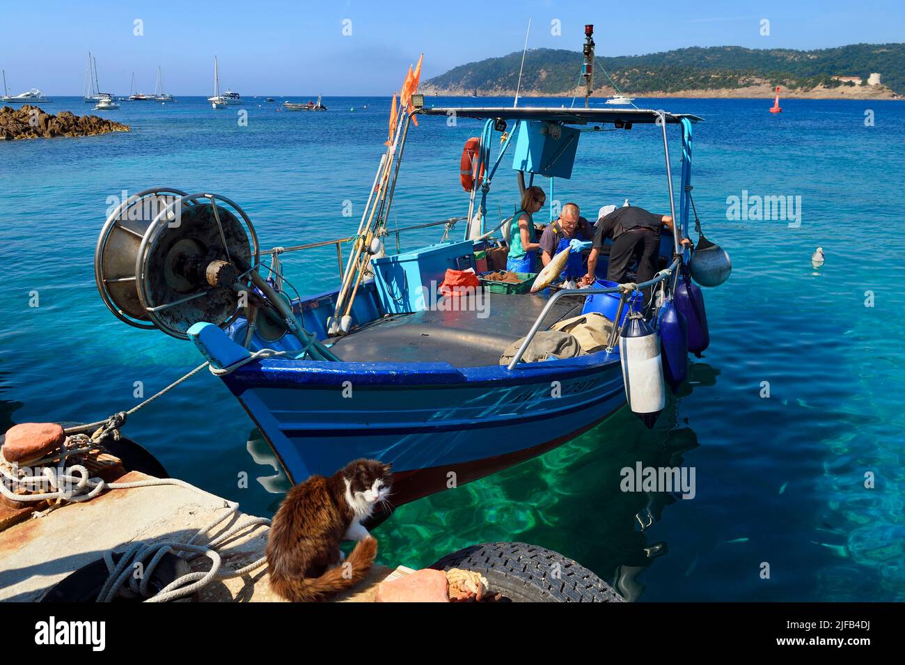 France, Var, Iles d'Hyeres, Parc national de Port Cros (National park of Port Cros), Le Levant island, Heliopolis naturist city, Christophe and Brigitte Chevallier, the only professional fishermen in Heliopolis, offer their fishing on their return to port Stock Photo