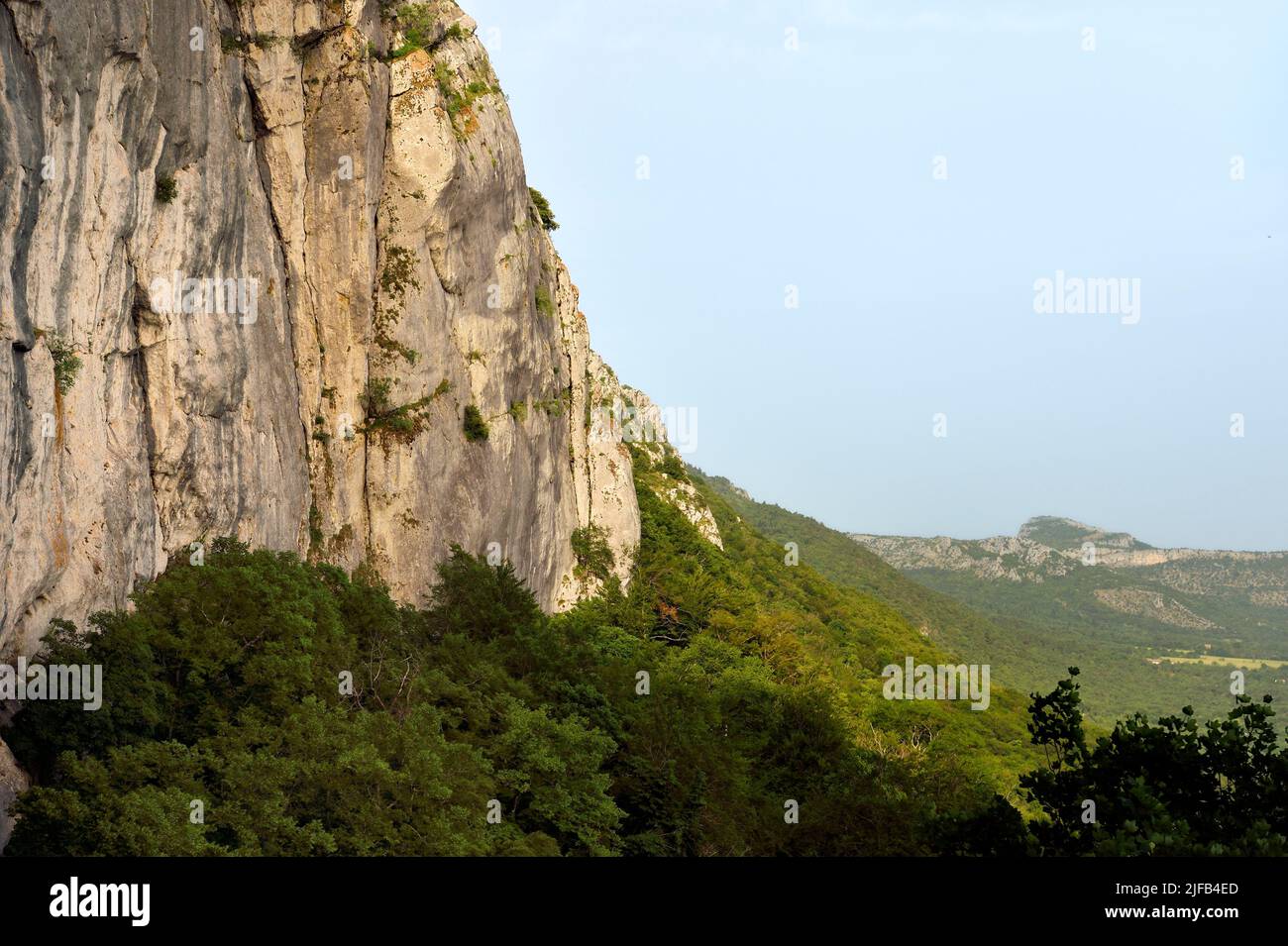 France, Var, Plan d'Aups Sainte Baume, SainteBaume Regional Nature