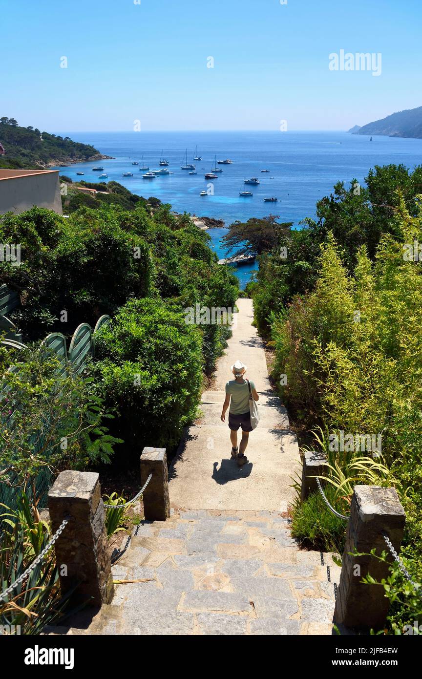 France, Var, Iles d'Hyeres, Parc national de Port Cros (National park of Port Cros), Le Levant island, Heliopolis naturist city, path and staircase of the Perspective, the central axis of the village Stock Photo