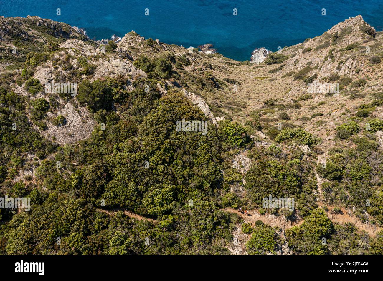 France, Var, Six Fours les Plages, hike in the Cap Sicie massif, hikers on  the Roumagnan crest trail (aerial view Stock Photo - Alamy
