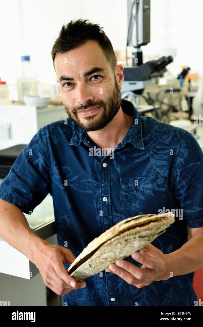 France, Var, Six Fours les Plages, Ile des Embiez, Robert Bunet, director of research at the Paul Ricard Oceanographic Institute Stock Photo