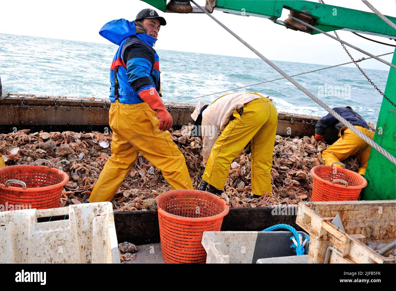 Scallop Fishing Season Kicks Off in Port-en-Bessin
