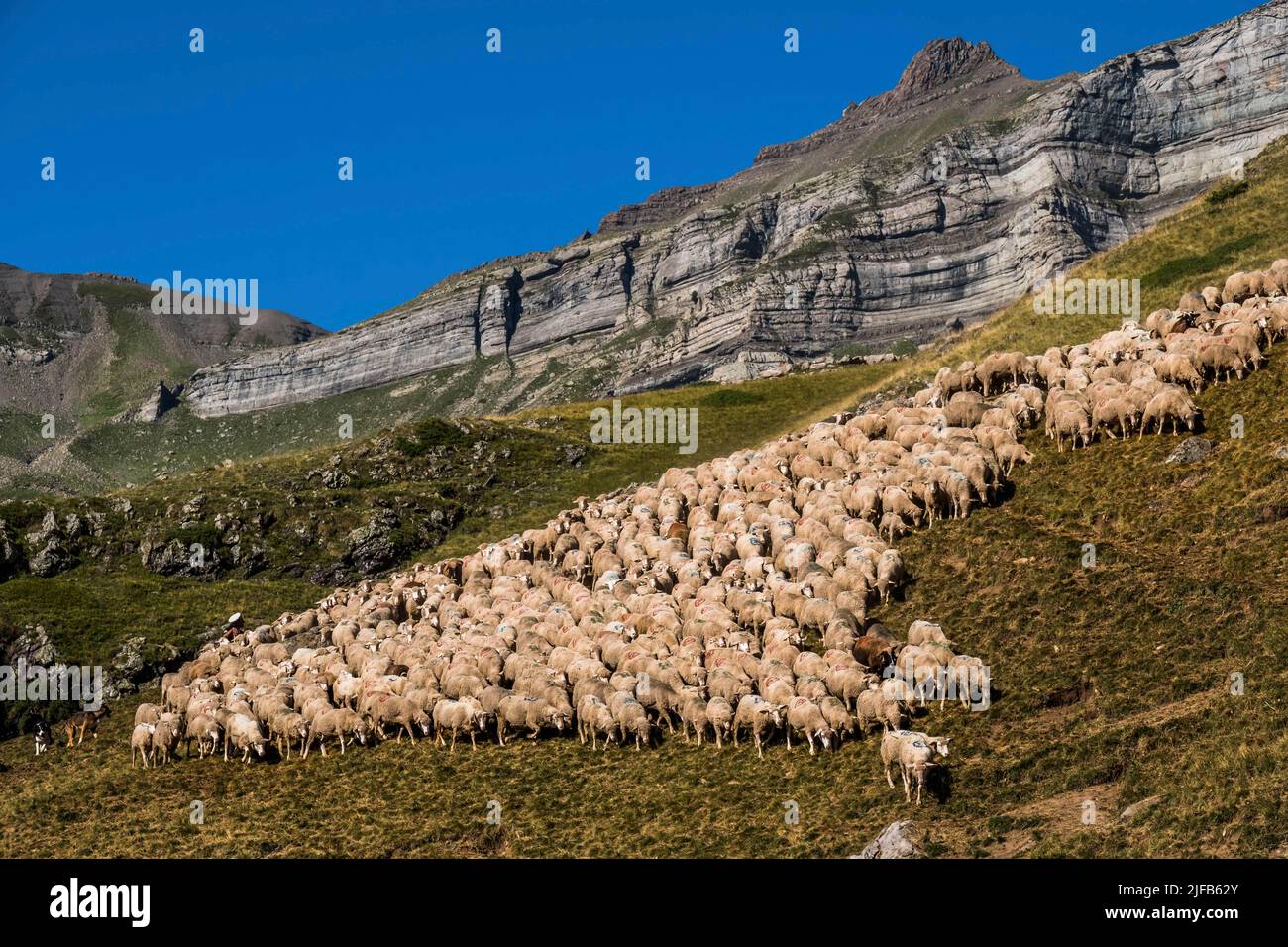France Hautes Alpes Champsaur Valley Of Champol on Village Of The 