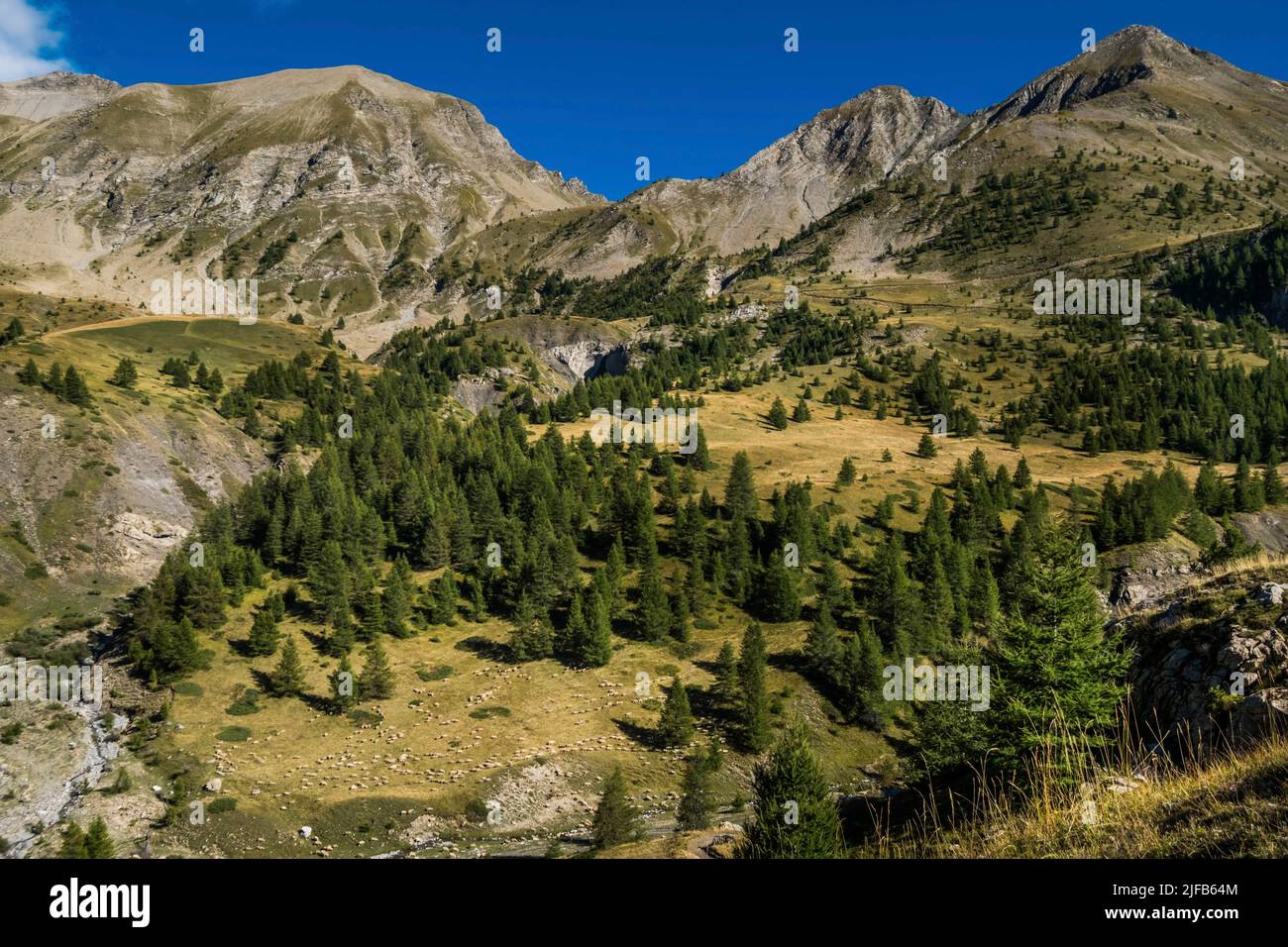 Parias Hautes Hi res Stock Photography And Images Alamy