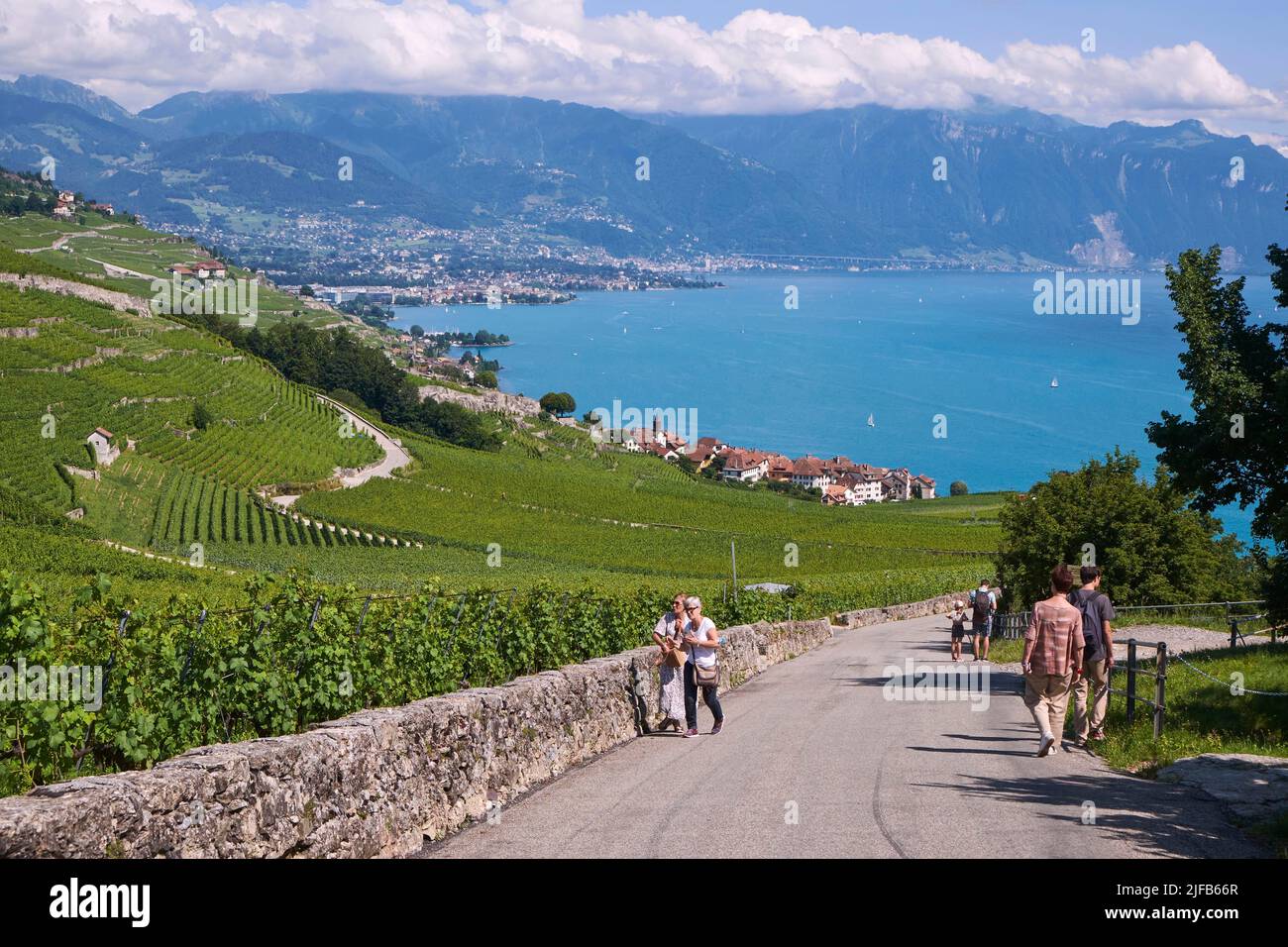 Switzerland, Canton of Vaud, Lavaux Vineyard Terraces listed as World Heritage by UNESCO, the village of Rivaz, the smallest municipality in Switzerland Stock Photo