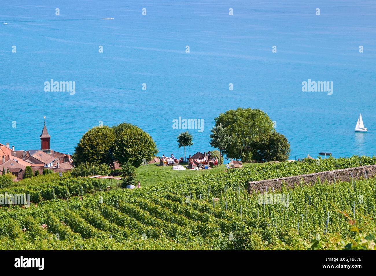 Switzerland, Canton of Vaud, Lavaux Vineyard Terraces listed as World Heritage by UNESCO, the village of Rivaz, the smallest municipality in Switzerland Stock Photo