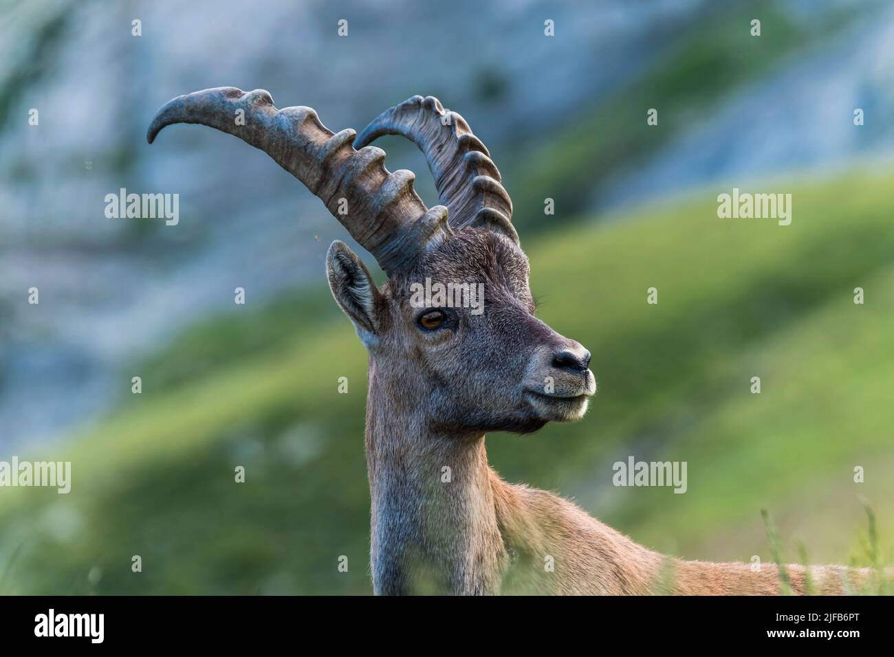 france-hautes-alpes-champsaur-valley-of-champol-on-village-of-the