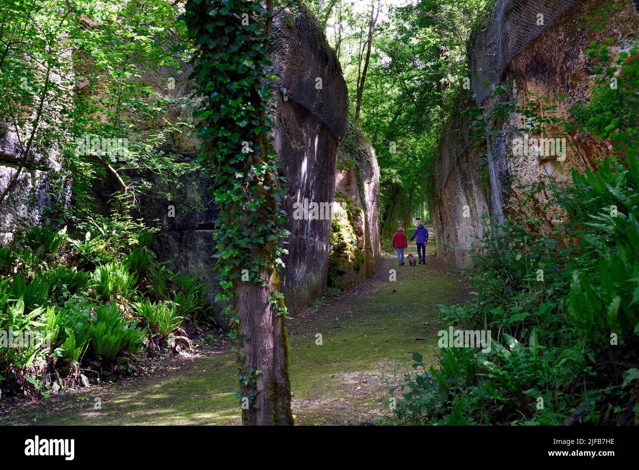 France, CharenteMaritime, Saintonge, Crazannes, La Pierre de Crazannes