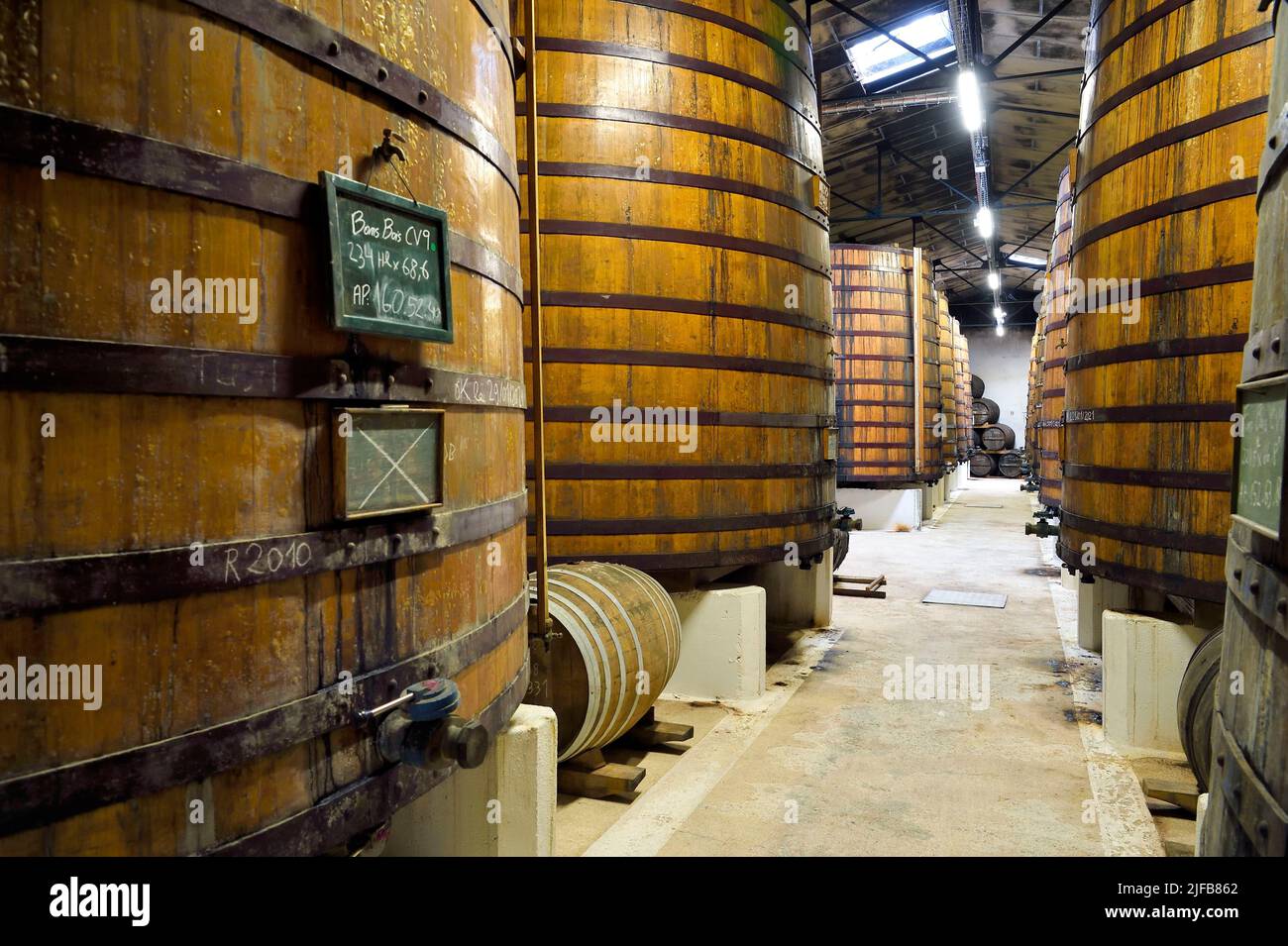 France, Charente, Sireuil, Distillerie des Moisans, foudres (large barrell) in aging and blending cellars Stock Photo