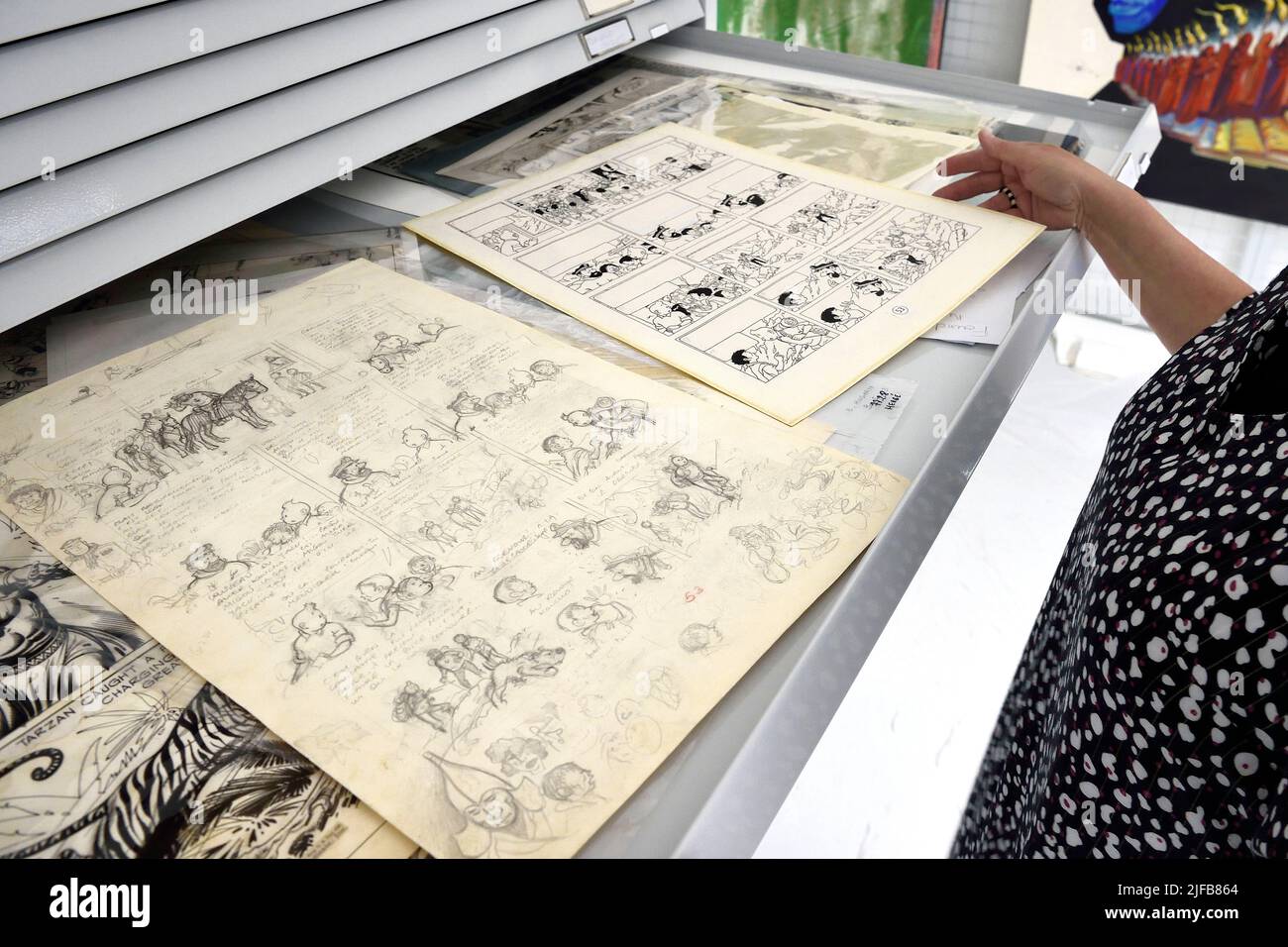 France, Charente, Angouleme, Cité internationale de la bande dessinée et de l'image (CIBDI)(International city of comics and images), in the reserves of the comic museum, original pencil sketch of Tintin in Tibet by Hergé on the left and inking on the right Stock Photo