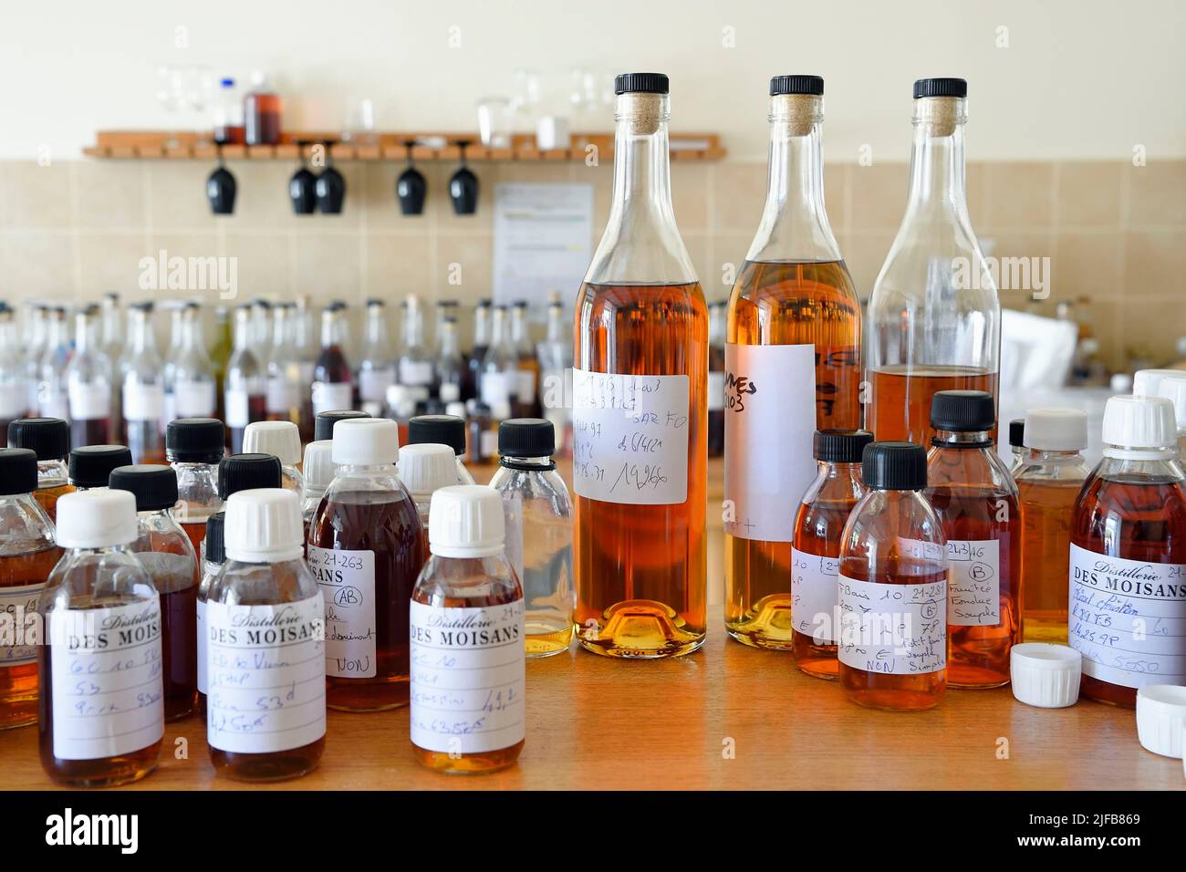 France, Charente, Sireuil, Distillerie des Moisans, bottles for preparing the blend in the cellar master's laboratory Stock Photo