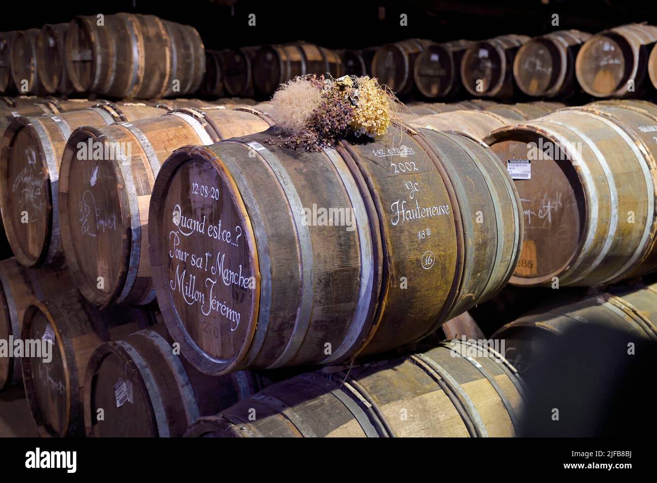 France, Charente, Cognac, Hennessy cognac House aging cellars, barrels