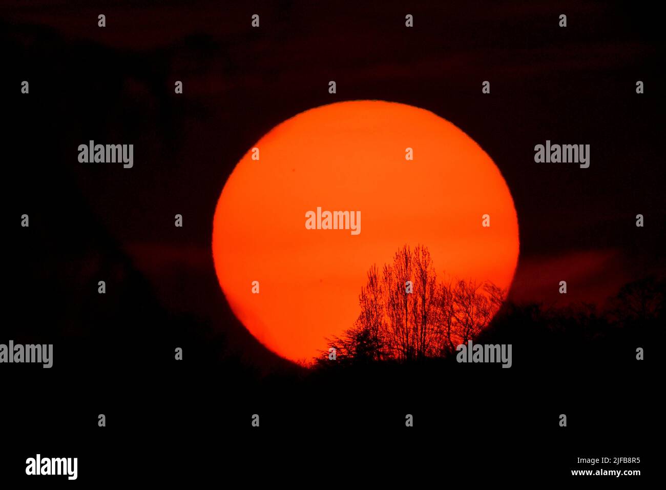 France, Doubs, sunset, solar disk behind trees Stock Photo