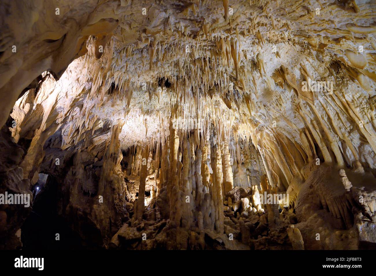 France, Dordogne, Perigord Vert, Villars, Villars Cave, concrétions dans les grottes Stock Photo