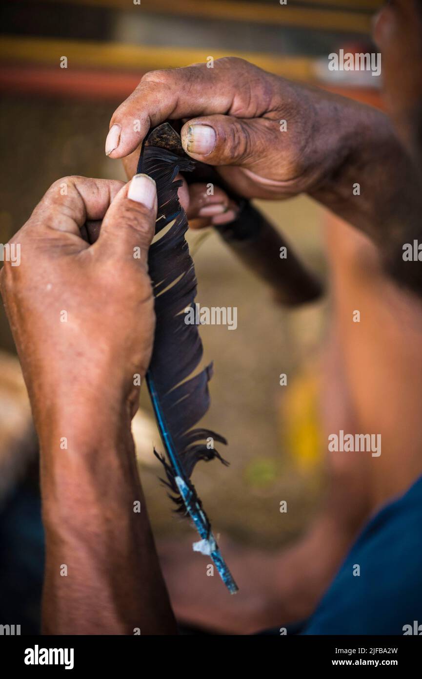 France, French Guiana, Amazonian Park, heart zone, Camopi, the craftsman Renaud SAKEU keeps the living memory of Wayàpi know-how, here the size of Hocco's feathers for hunting arrows Stock Photo