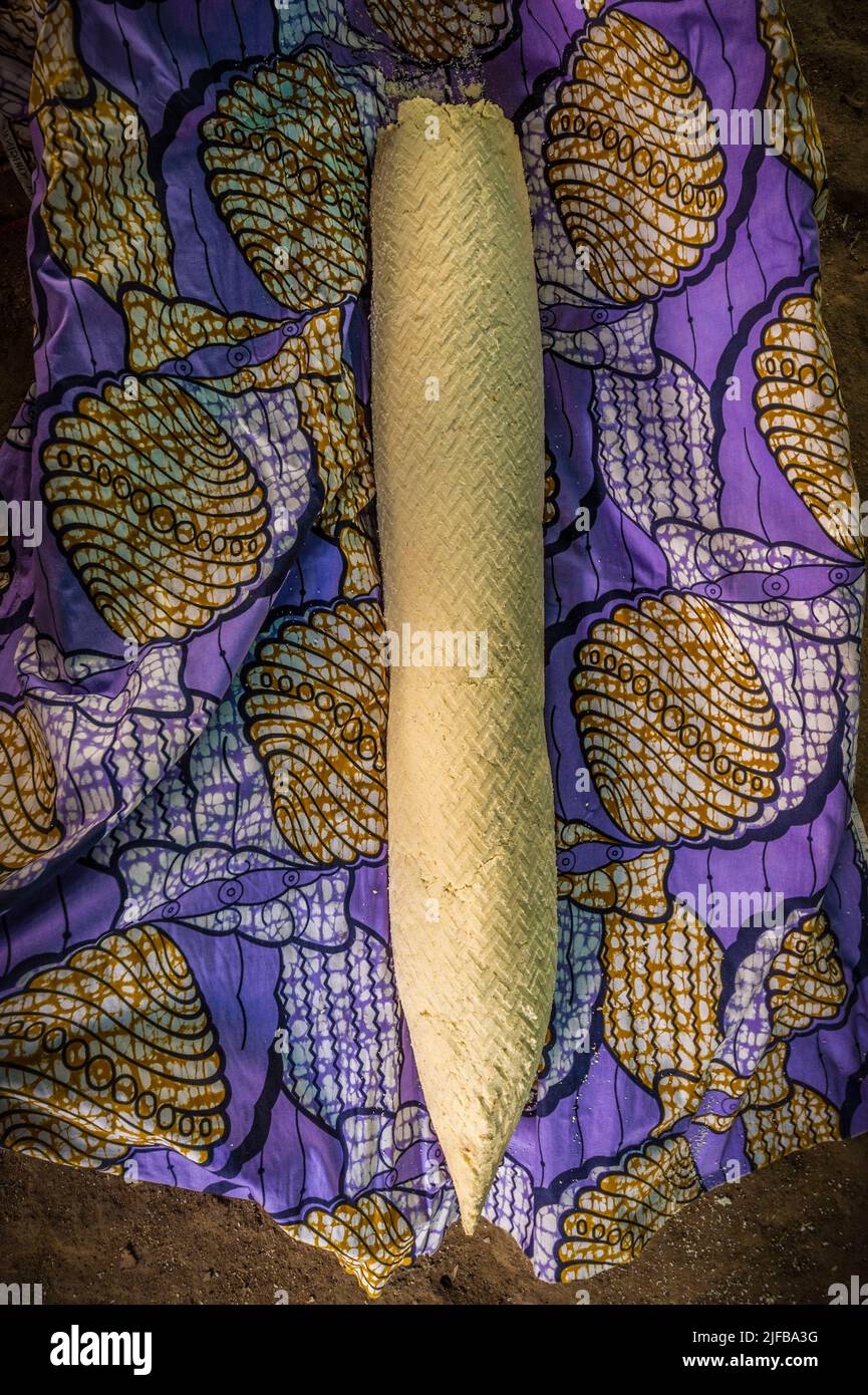 France, French Guiana, Amazonian Park, heart zone, Camopi, carrot of