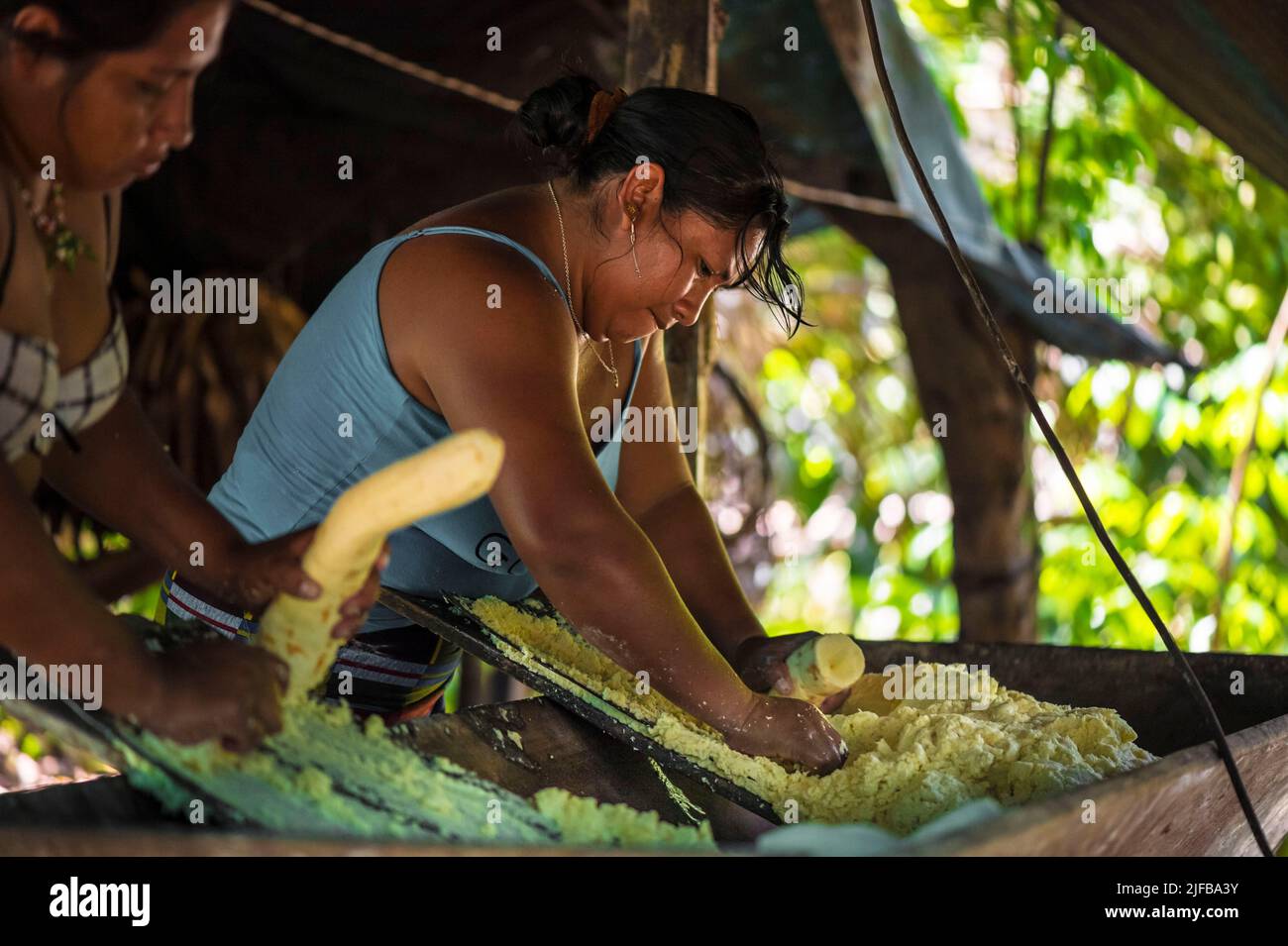 France, French Guiana, Amazonian Park, heart zone, Camopi, preparation of cassava flour in an Amerindian Wayàpi family Stock Photo