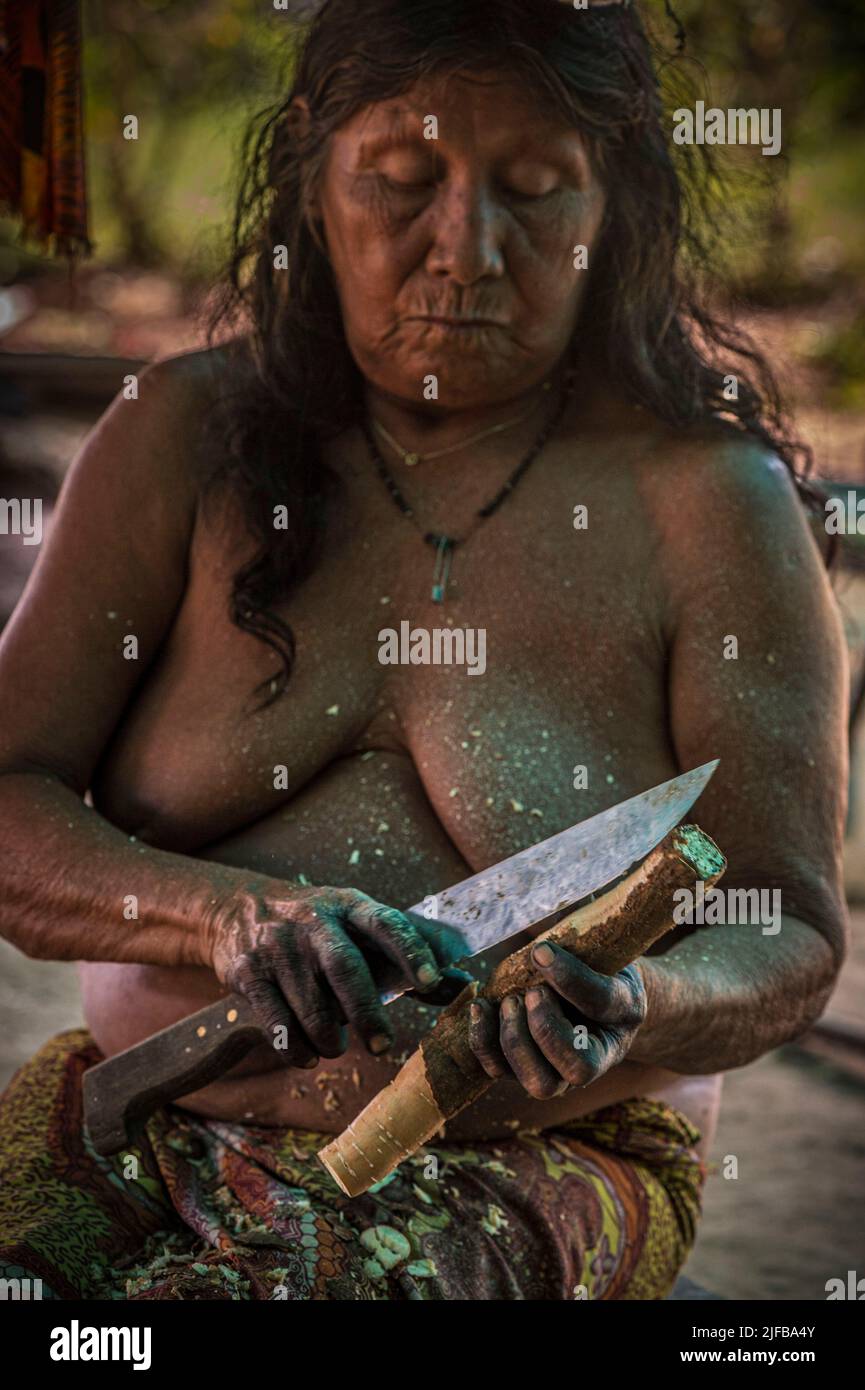 France, French Guiana, Amazonian Park, heart zone, Camopi, preparation of cassava flour in an Amerindian Wayàpi family Stock Photo