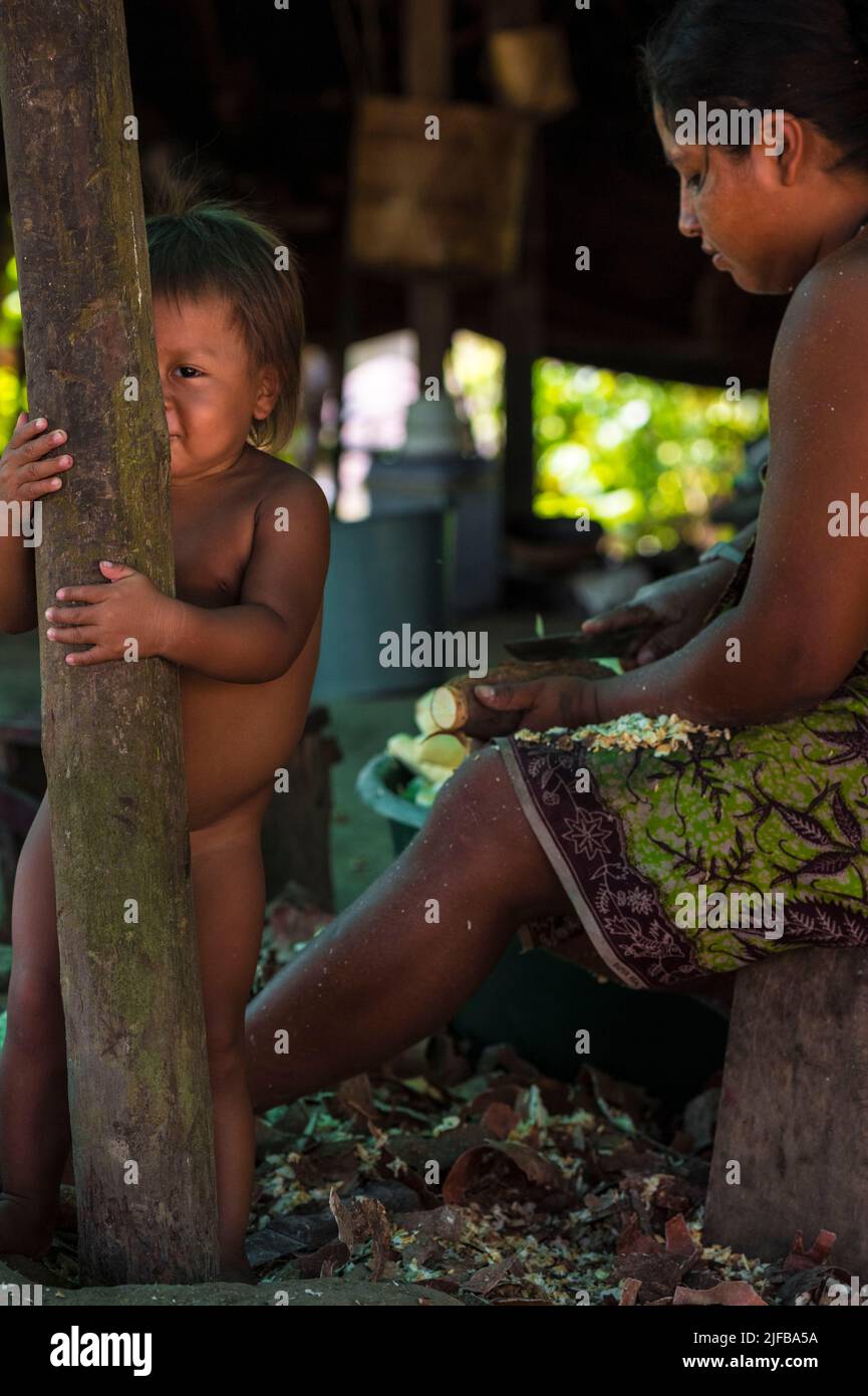 France, French Guiana, Amazonian Park, heart zone, Camopi, preparation of cassava flour in an Amerindian Wayàpi family Stock Photo