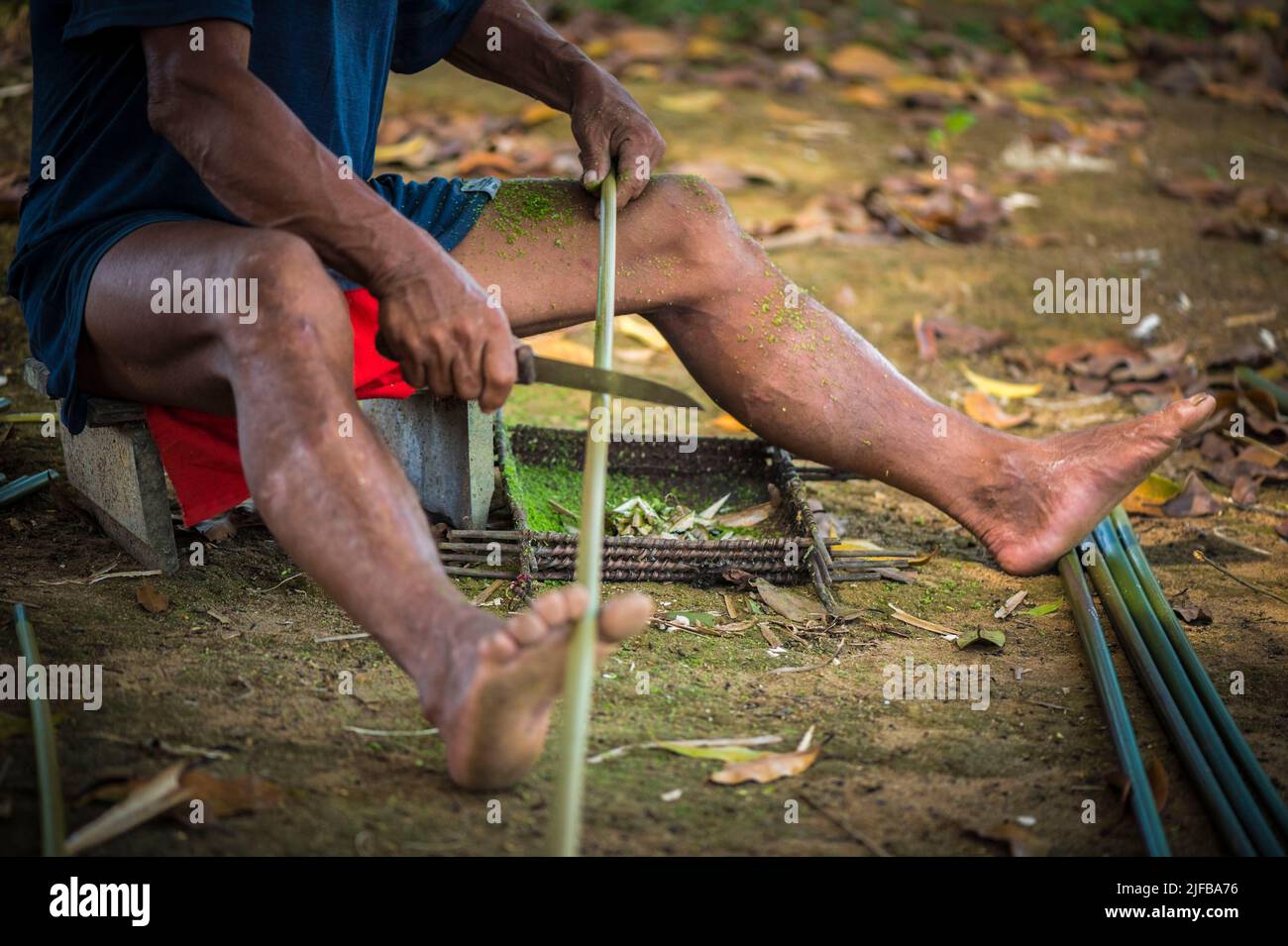 France, French Guiana, Amazonian Park, heart zone, Camopi, the ...