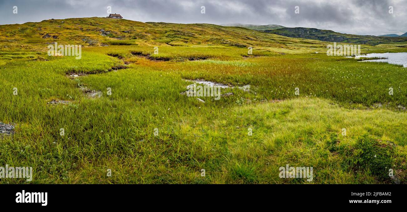 Norway, On the road to the Hardangervidda high plateau between Vik and Voss, the largest European plateau located entirely beyond the tree line, panoramic view Stock Photo