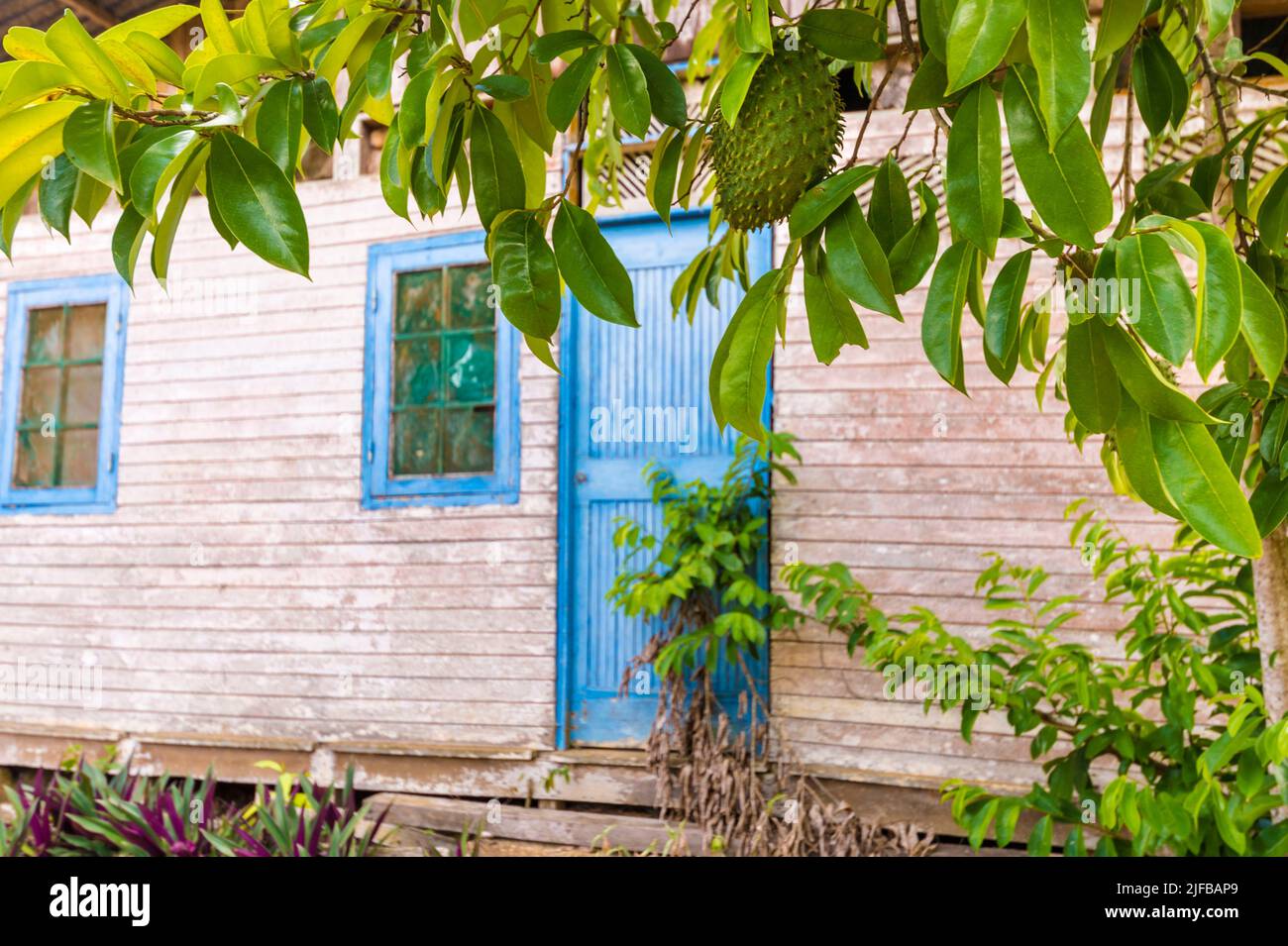 France, French Guiana, Amazonian Park, heart zone, Saül, scene of daily