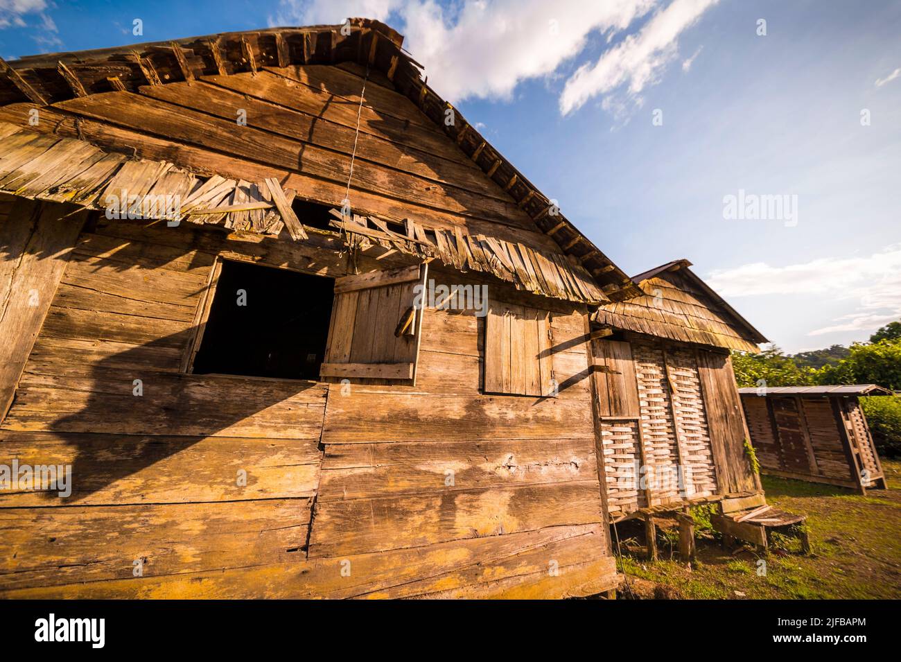 France, French Guiana, Amazonian Park, heart zone, Saül, scene of daily