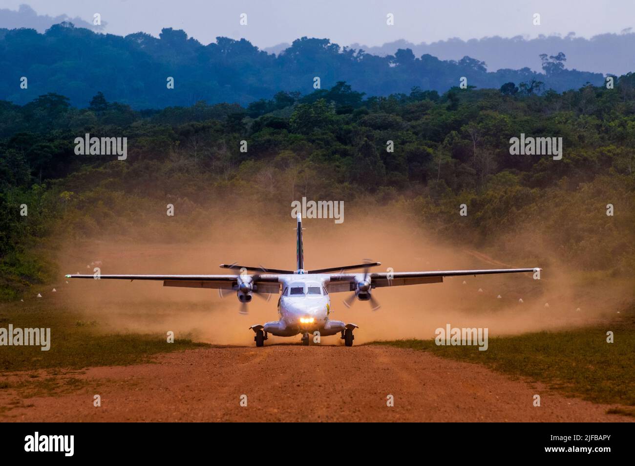 France, French Guiana, Amazonian Park, heart zone, Saül, on the