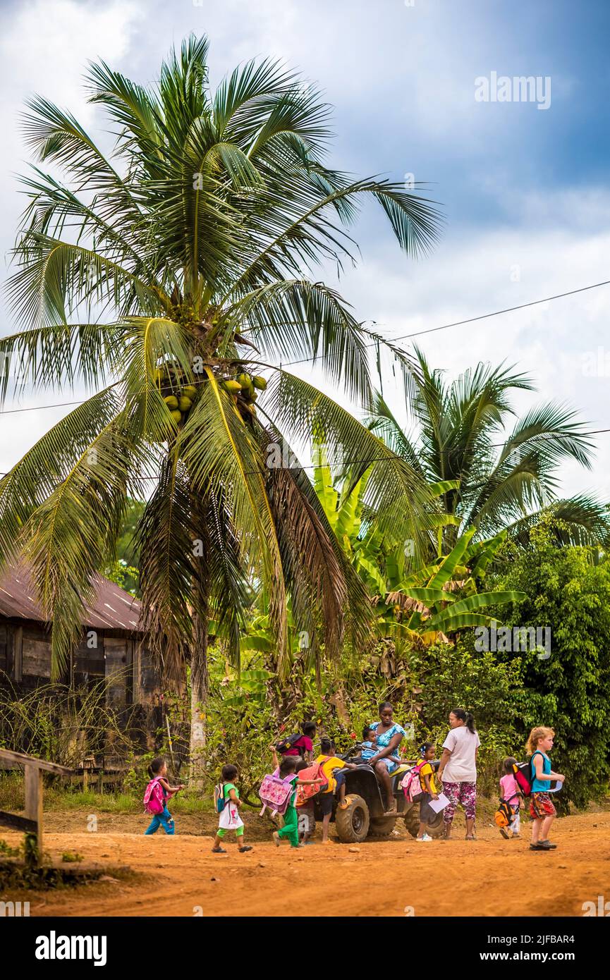 France, French Guiana, Amazonian Park, heart zone, Saül, scene of everyday life, class outing Stock Photo