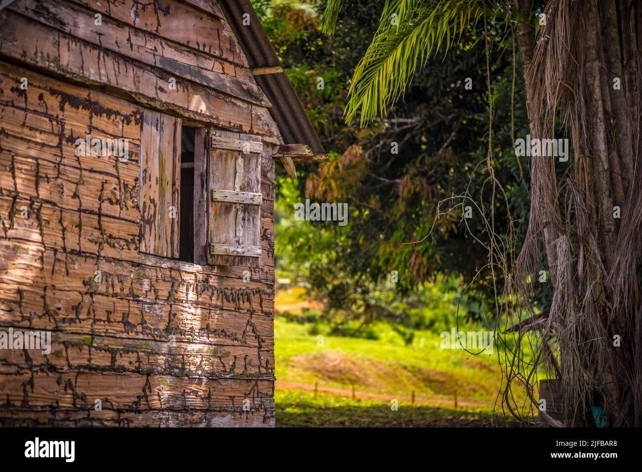 France, French Guiana, Amazonian Park, heart zone, Saül, scene of daily