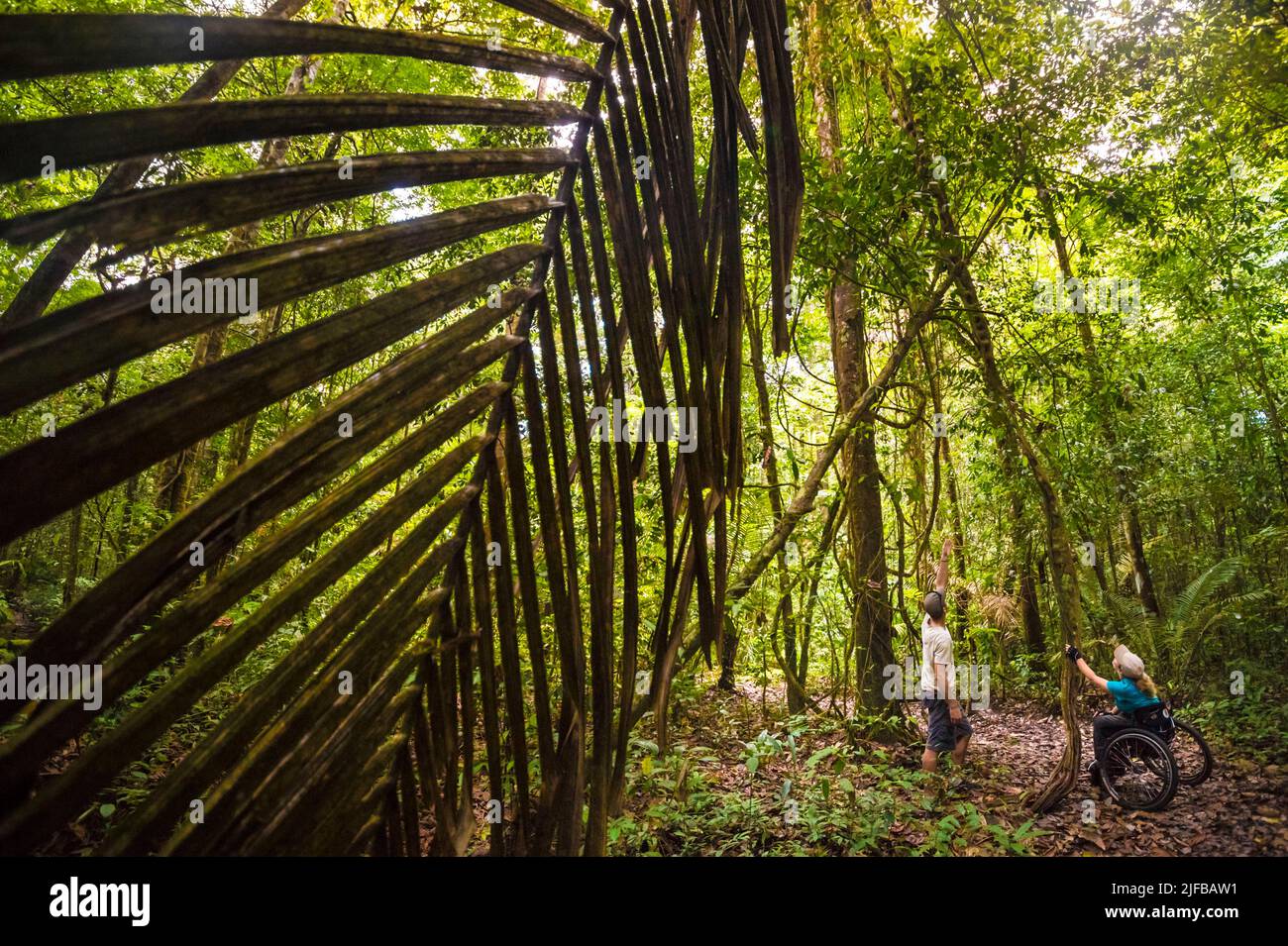 France, French Guiana, Amazonian Park, heart zone, Saül, The project Amazonia for all opens hiking trails for the visually impaired, blind and disabled, Saül was the pilot village Stock Photo