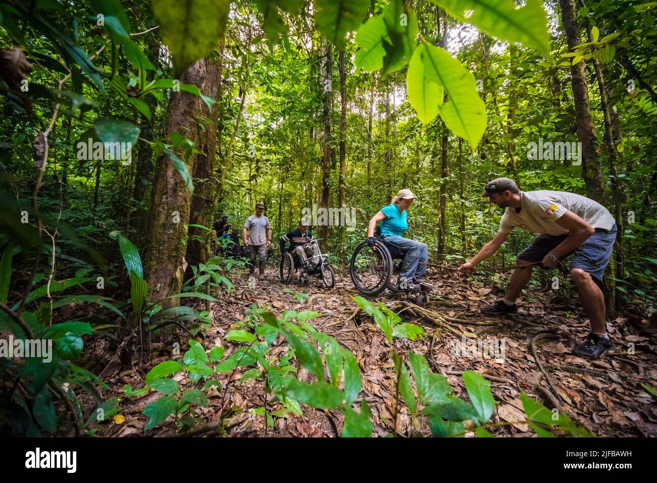 France, French Guiana, Amazonian Park, heart zone, Saül, The project Amazonia for all opens hiking trails for the visually impaired, blind and disabled, Saül was the pilot village Stock Photo