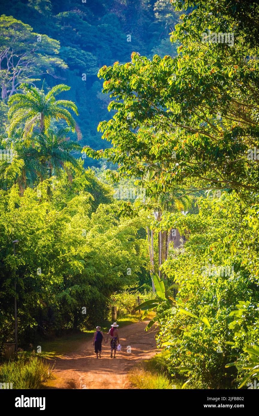 France, French Guiana, Amazonian Park, heart zone, Saül, scene of everyday life Stock Photo