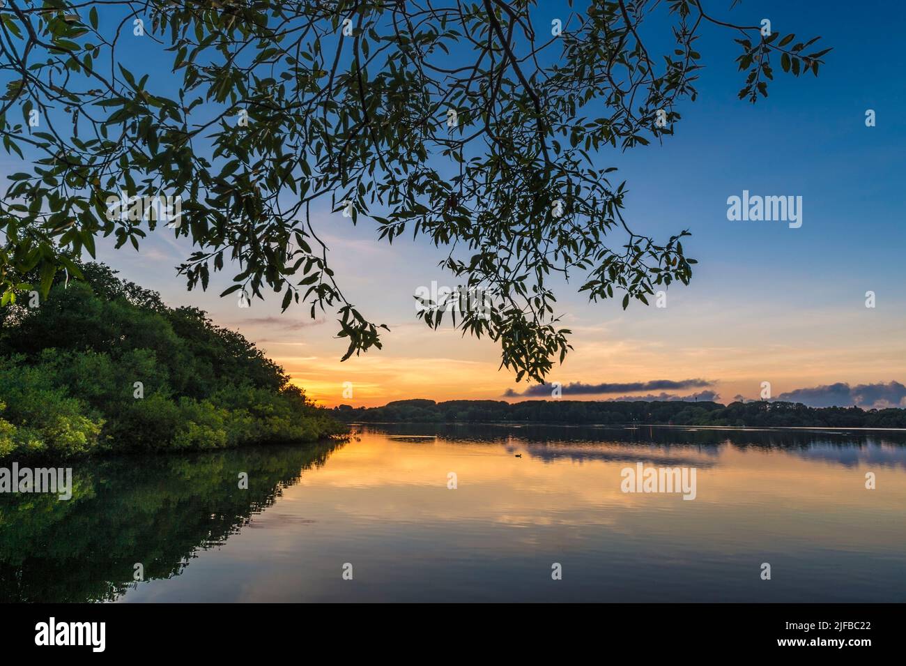 Stavanger evening hi-res stock photography and images - Alamy