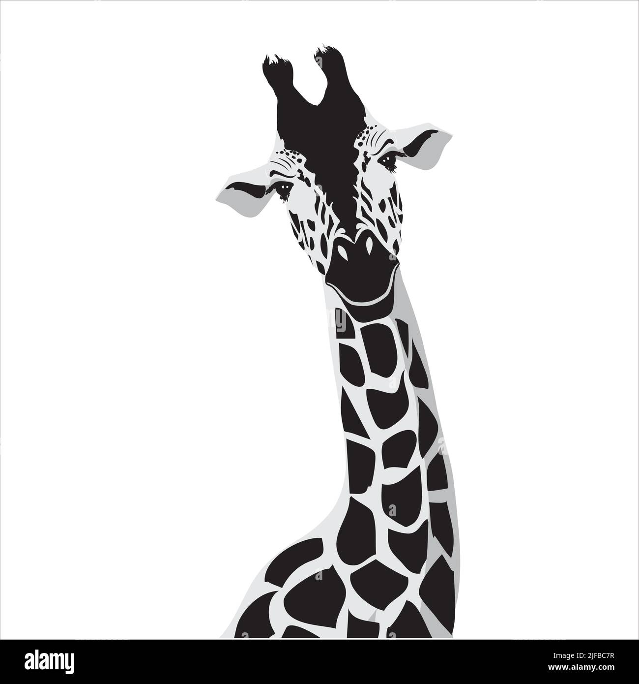 Vector illustration of a black silhouette giraffe. Isolated white