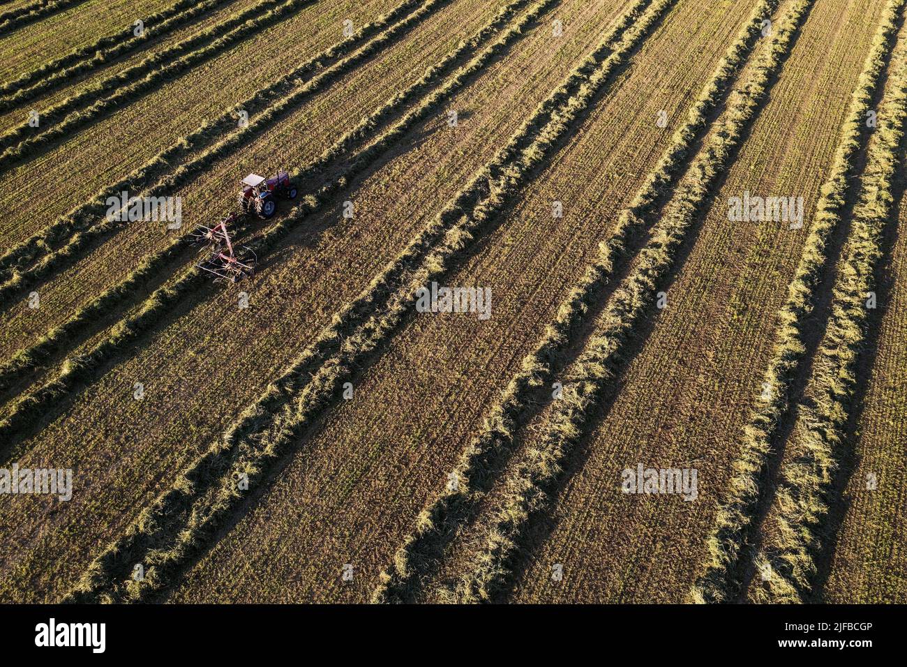 France, Var, Provence Verte, Brue Auriac, hay harvest, tractor (aerial view) Stock Photo