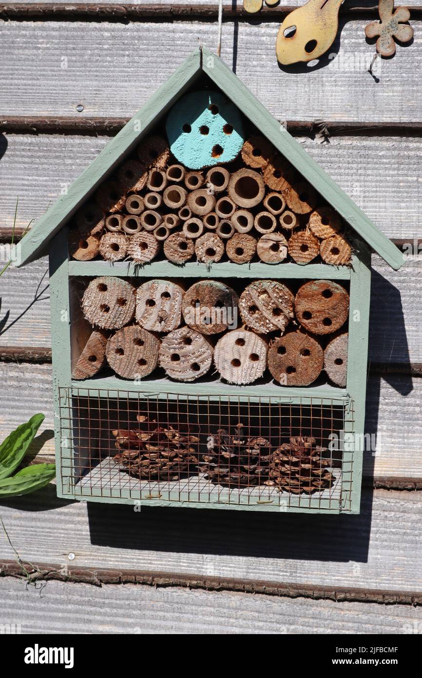 A three compartment insect hotel hanging from a garden fence. Many ...