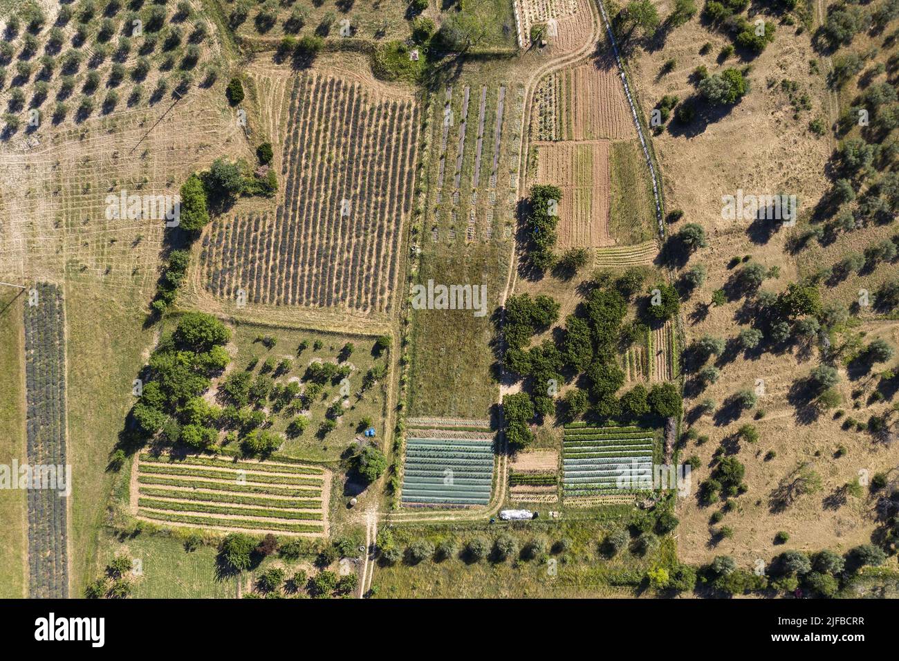 France, Drome, regional natural park of Baronnies Provençales, Villeperdrix, La Ferme de Perdicus, the vegetable garden (aerial view) Stock Photo