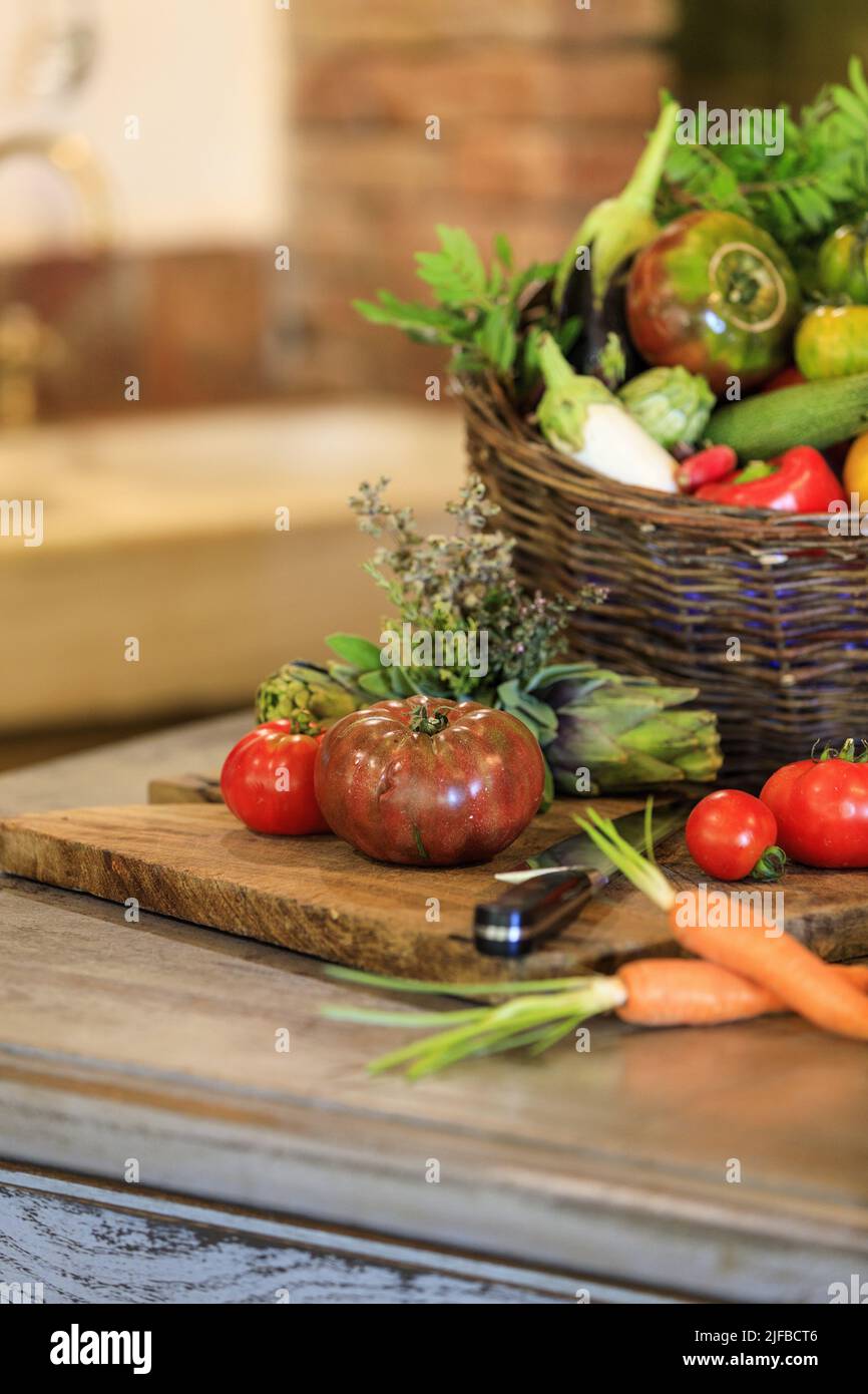 France, Corse du Sud, Domaine de Murtoli, the hamlet, kitchen and