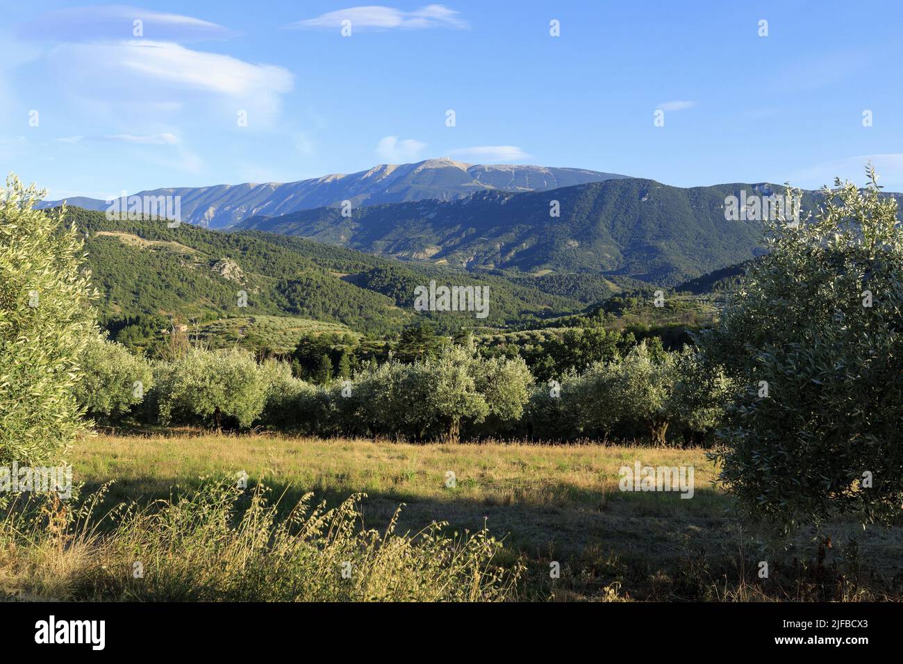 France, Drome, regional natural park of Baronnies Provençales, Buis les